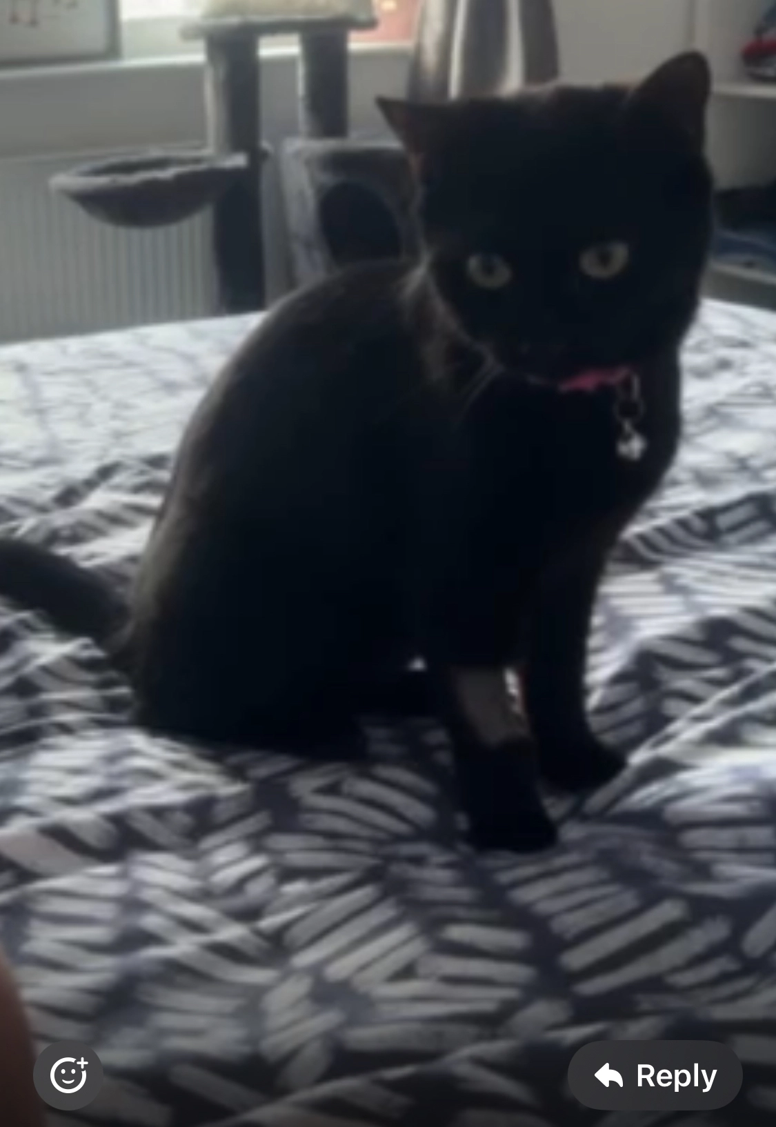 Coco - Ledbury Road, Hull