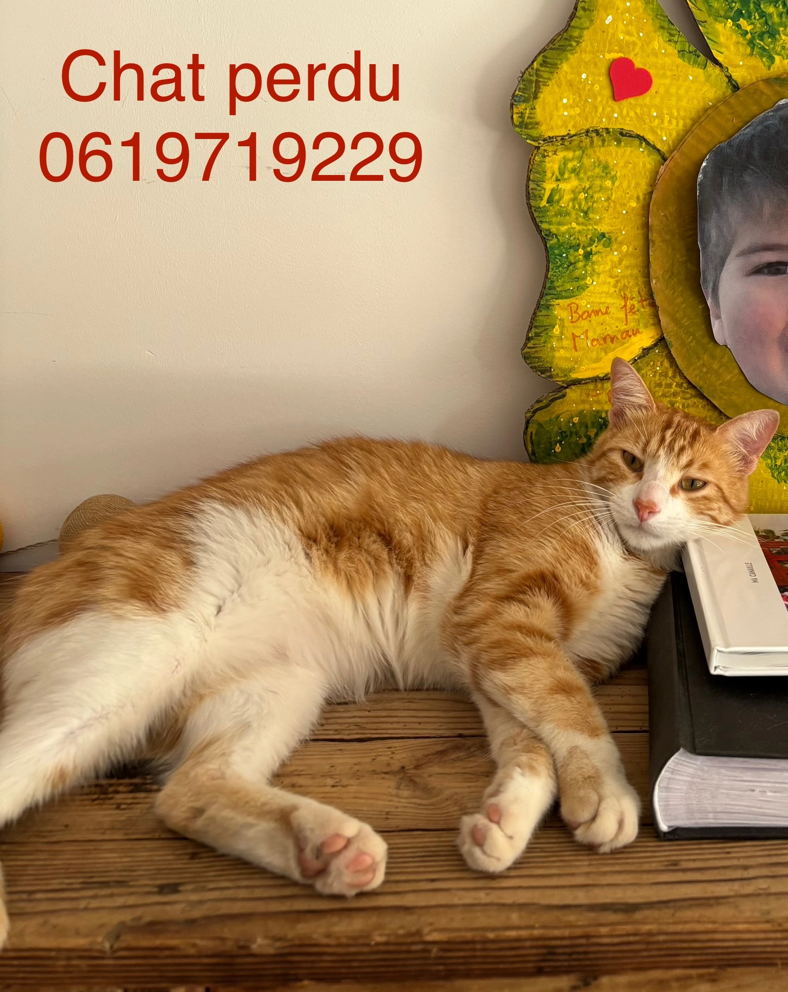 Rusty - Chemin des Hauts de Coupiane, Hyères