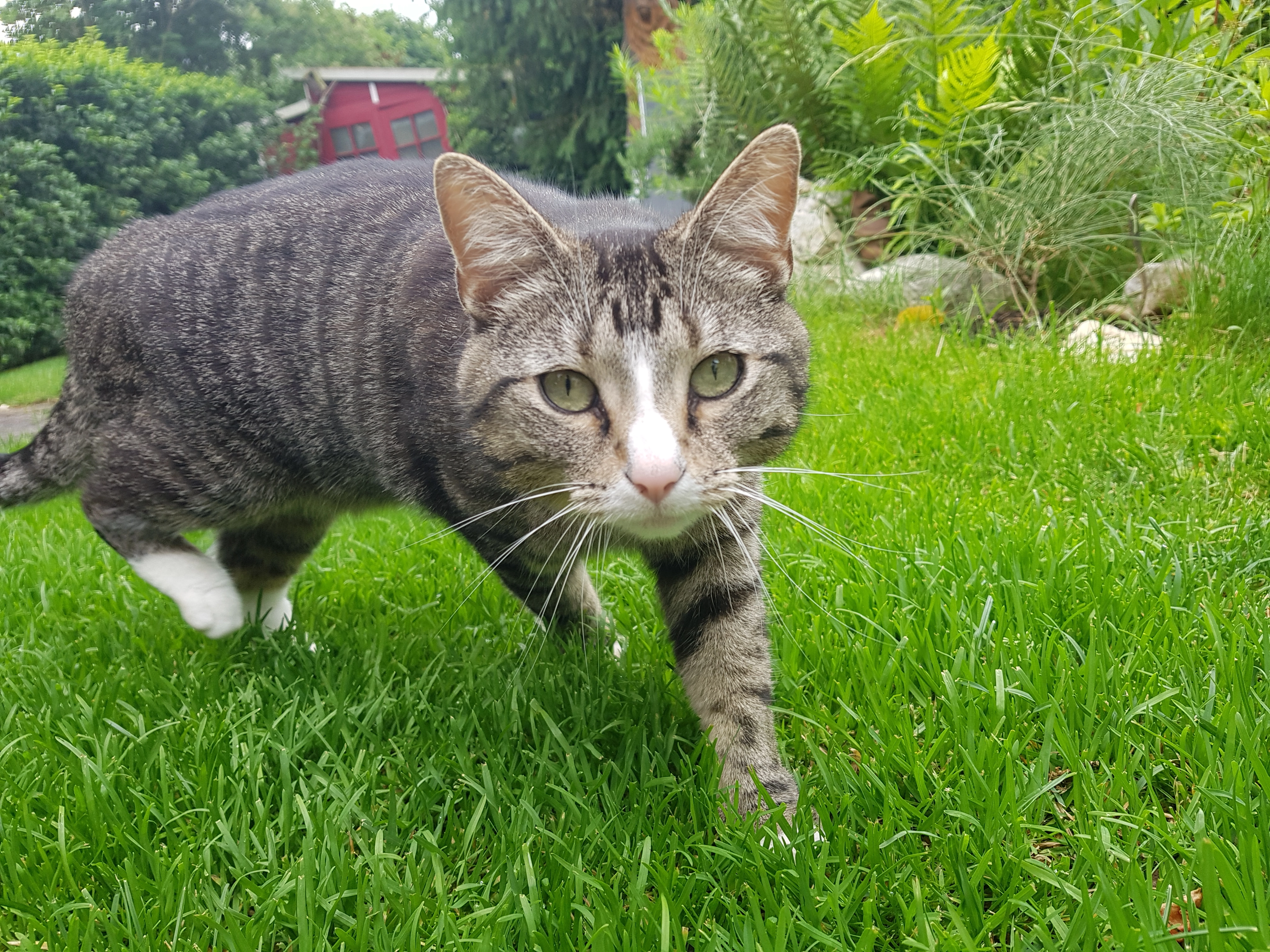 Cleo - In Der Weglänge, Koblenz