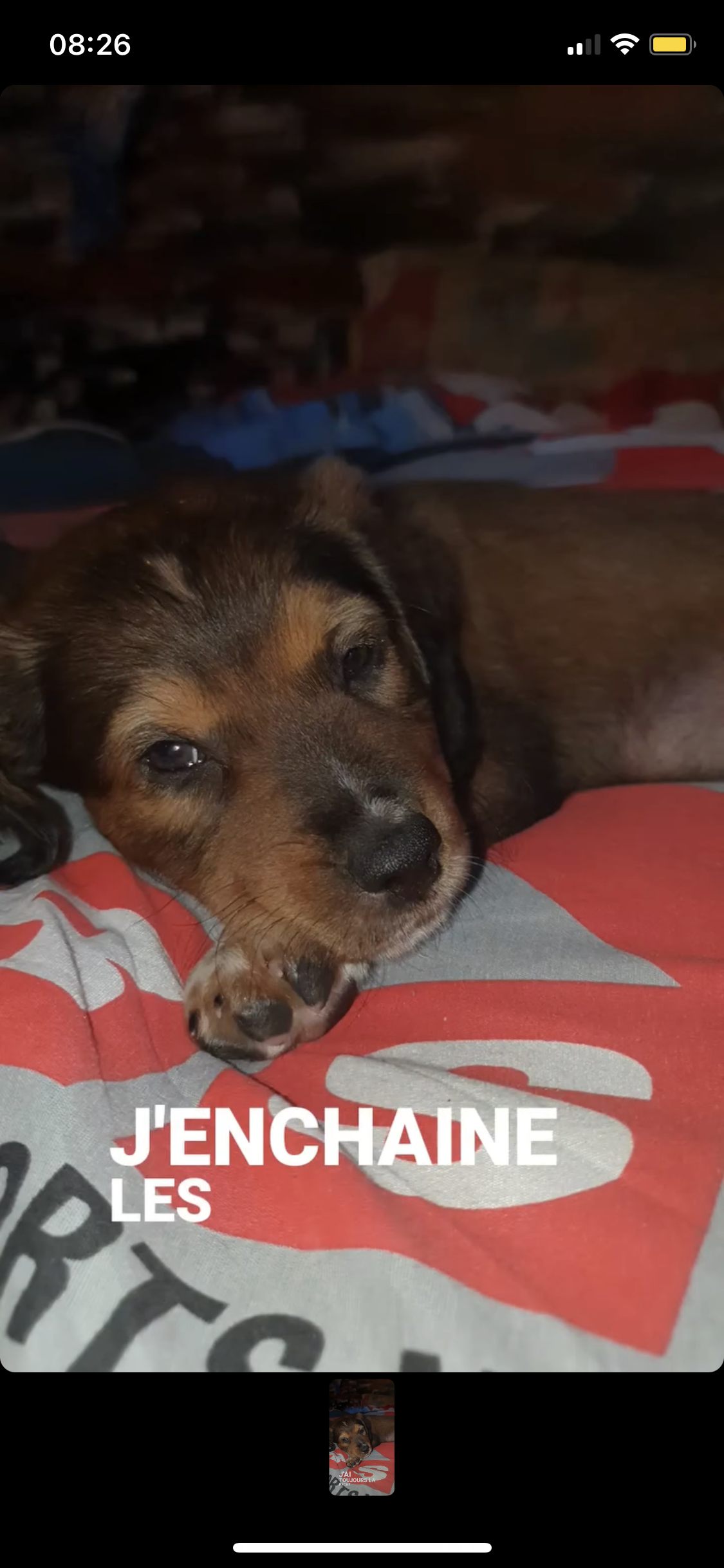 Doro - 17 Rue de la Poste, Mimbaste