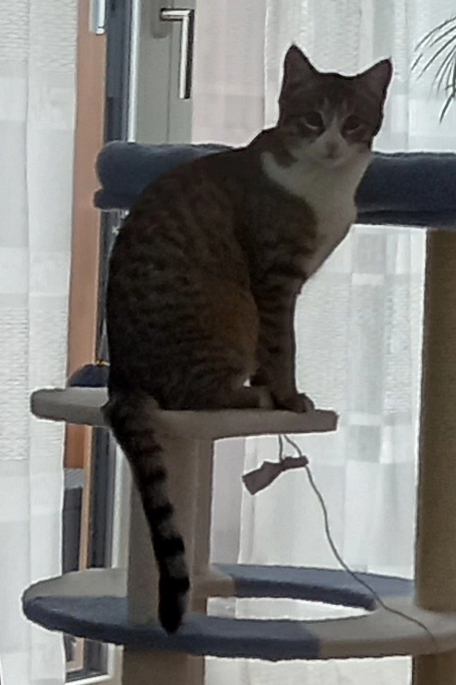 Kleo - Senta-Josephthal-Straße, Fürth