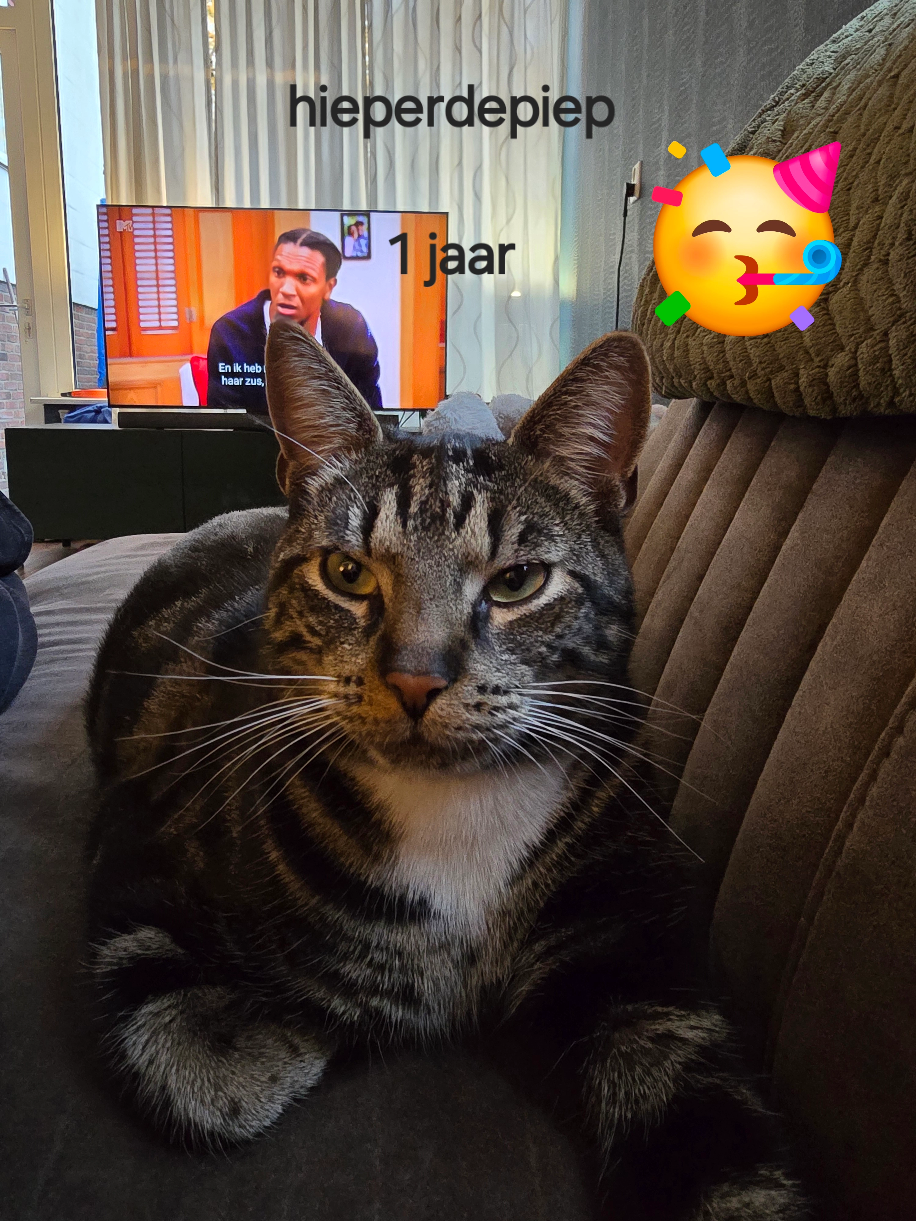 Jerry - Binnenbaan, Erica