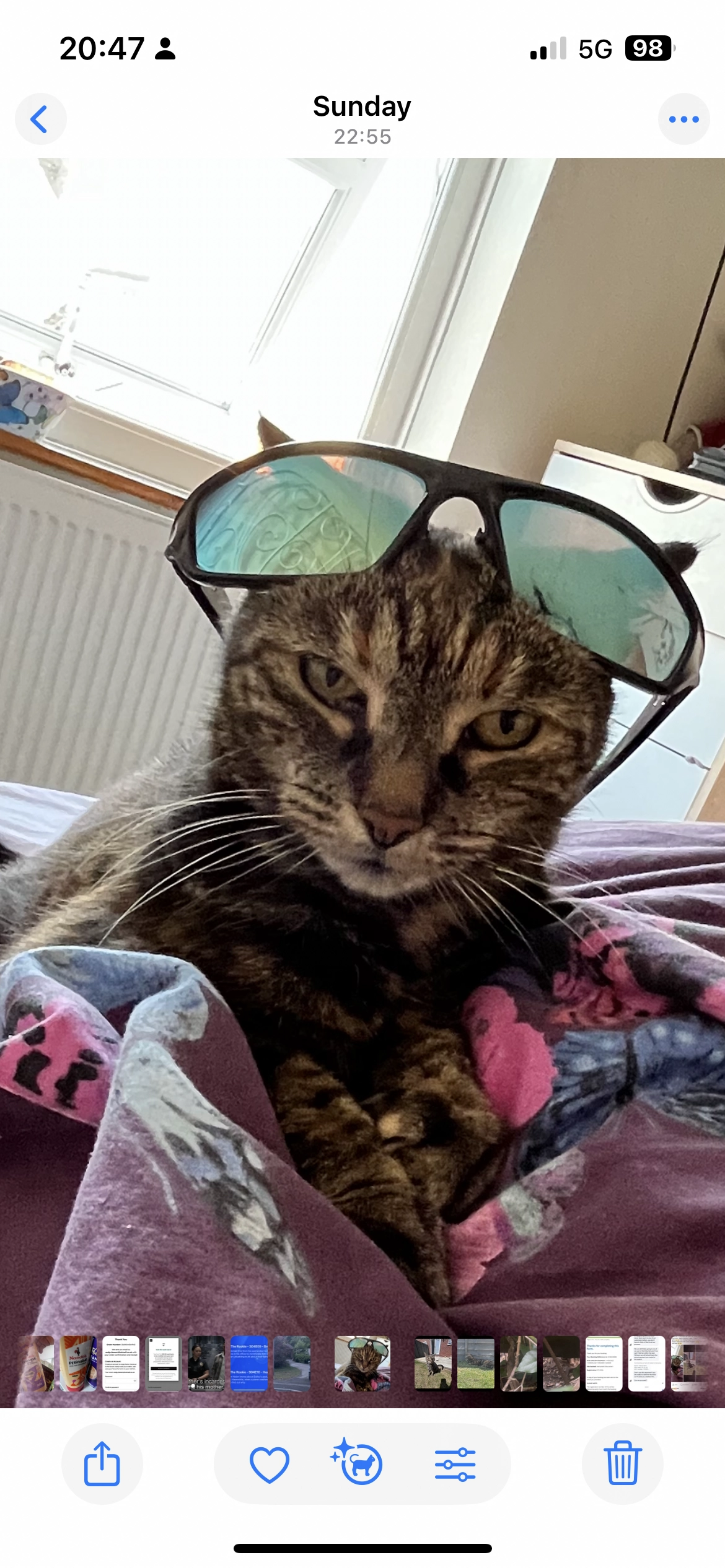 Mischief  - Fosse Close, Gloucester