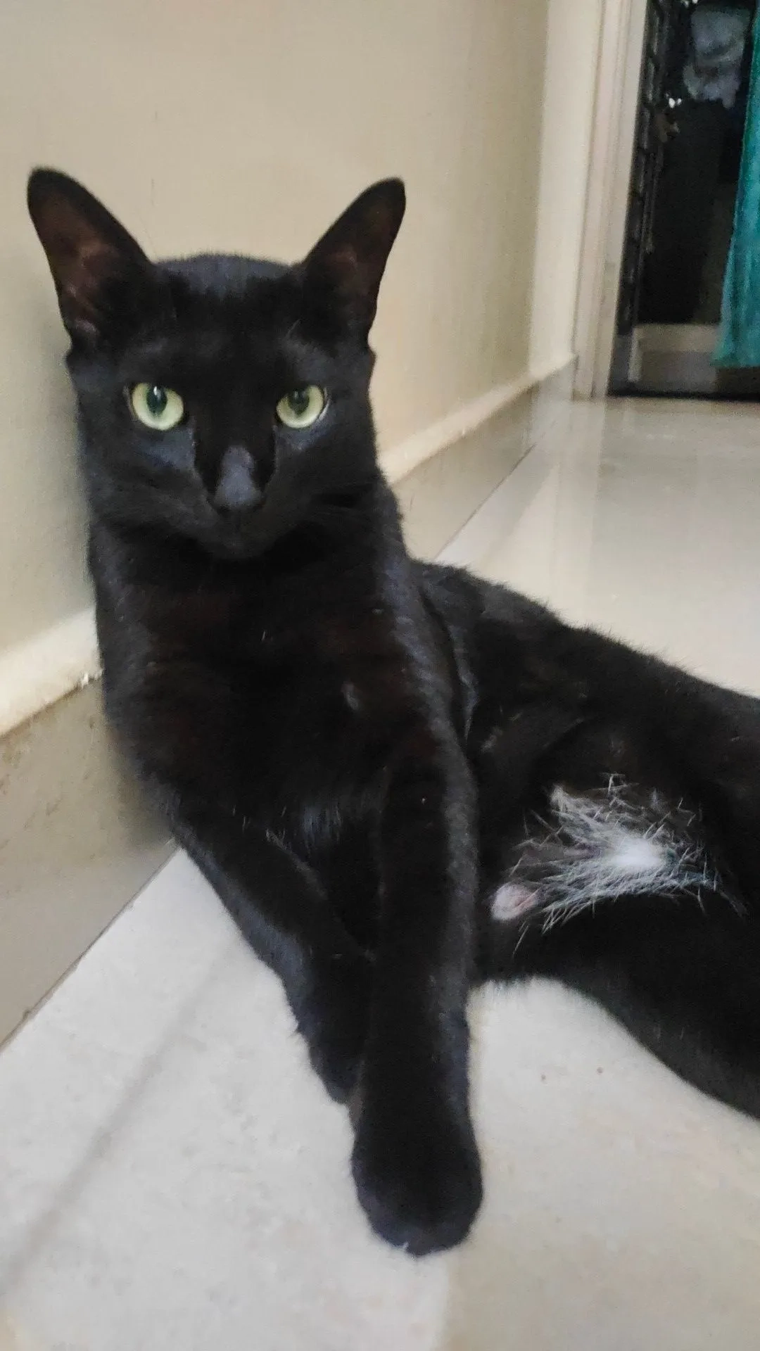 Sunshine - 15th Cross Road,  PB arcade., Bommanahalli, Bengaluru 