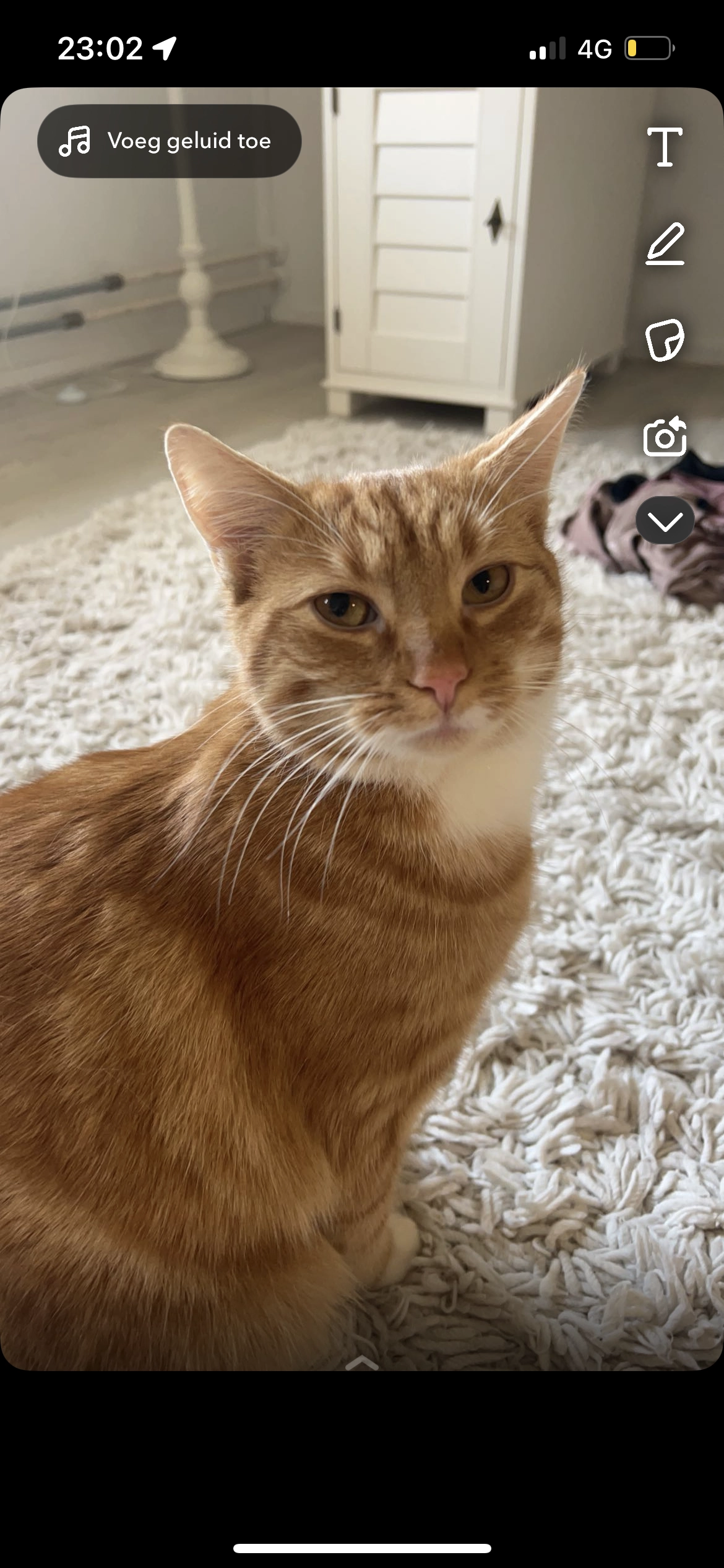 Oliver - Voetpad van Delden naar Borne, Ambt Delden