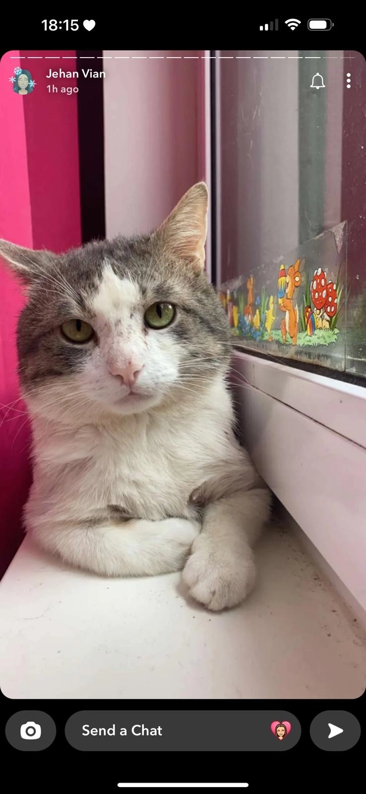 Leo - 84028, Landshut