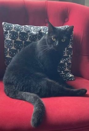 Teuze - Boulevard des Trente, Ploërmel