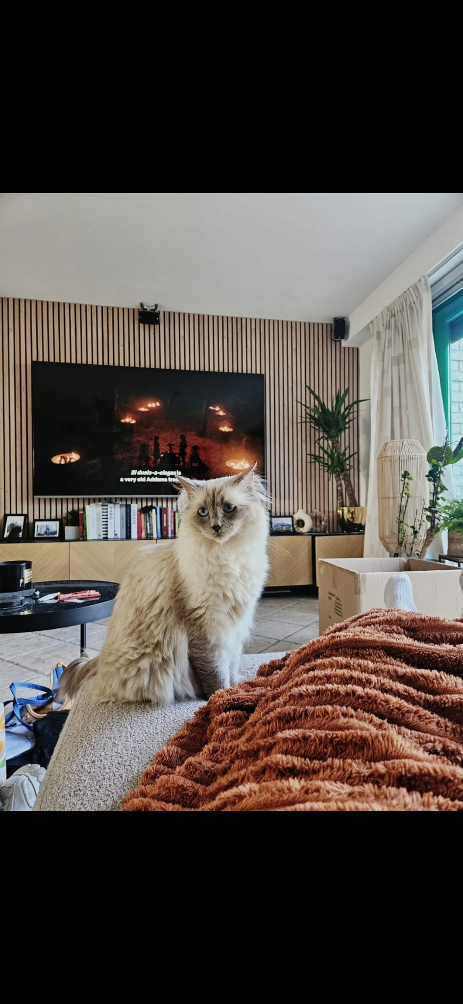 Penny - Mast, Zeewolde