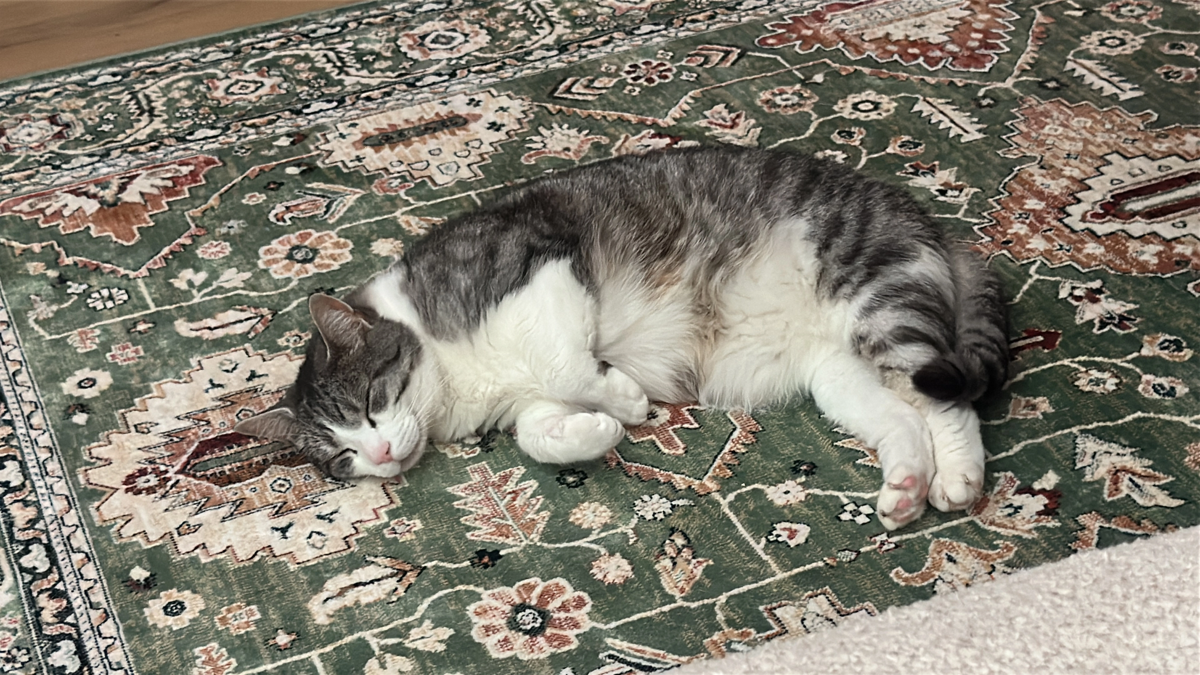 Noxx - De Ruyterstraat, Middelburg