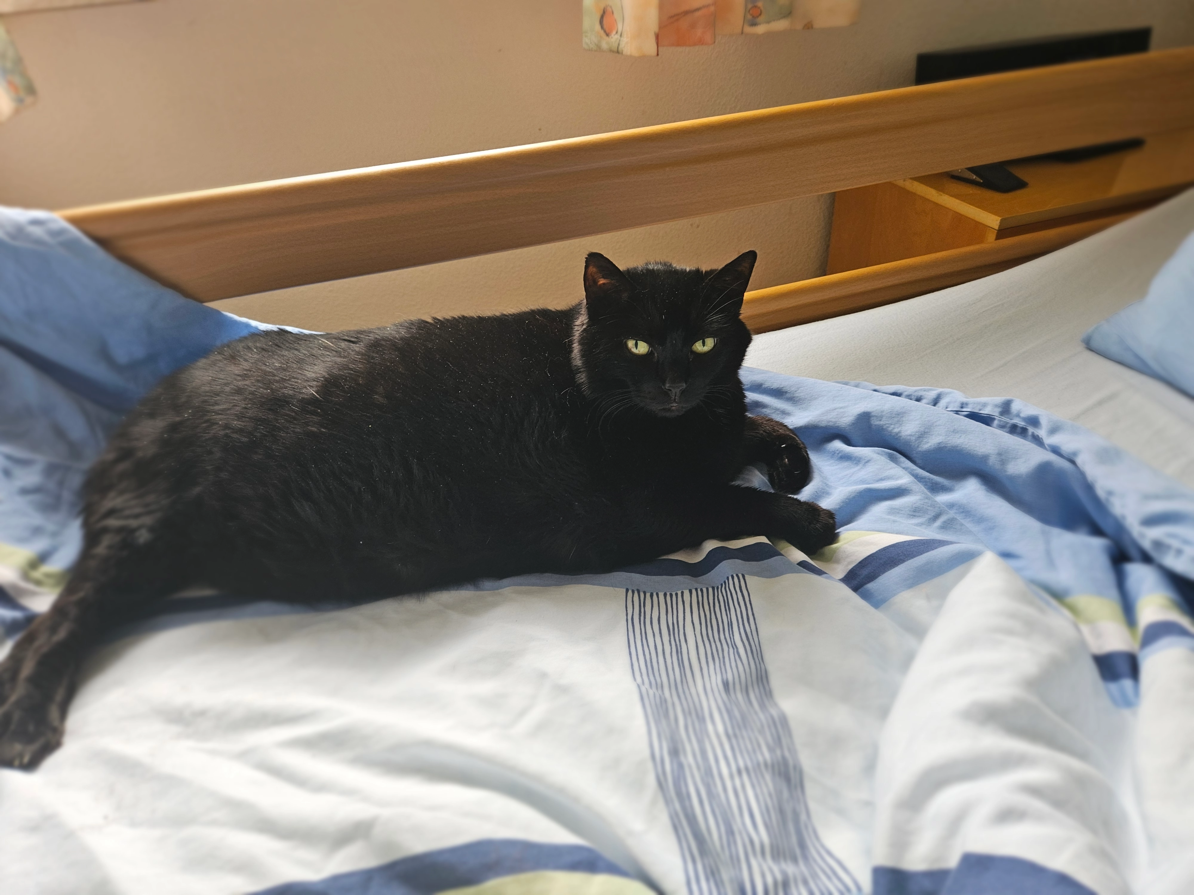 Bagira - Römersteinstraße, Reutlingen