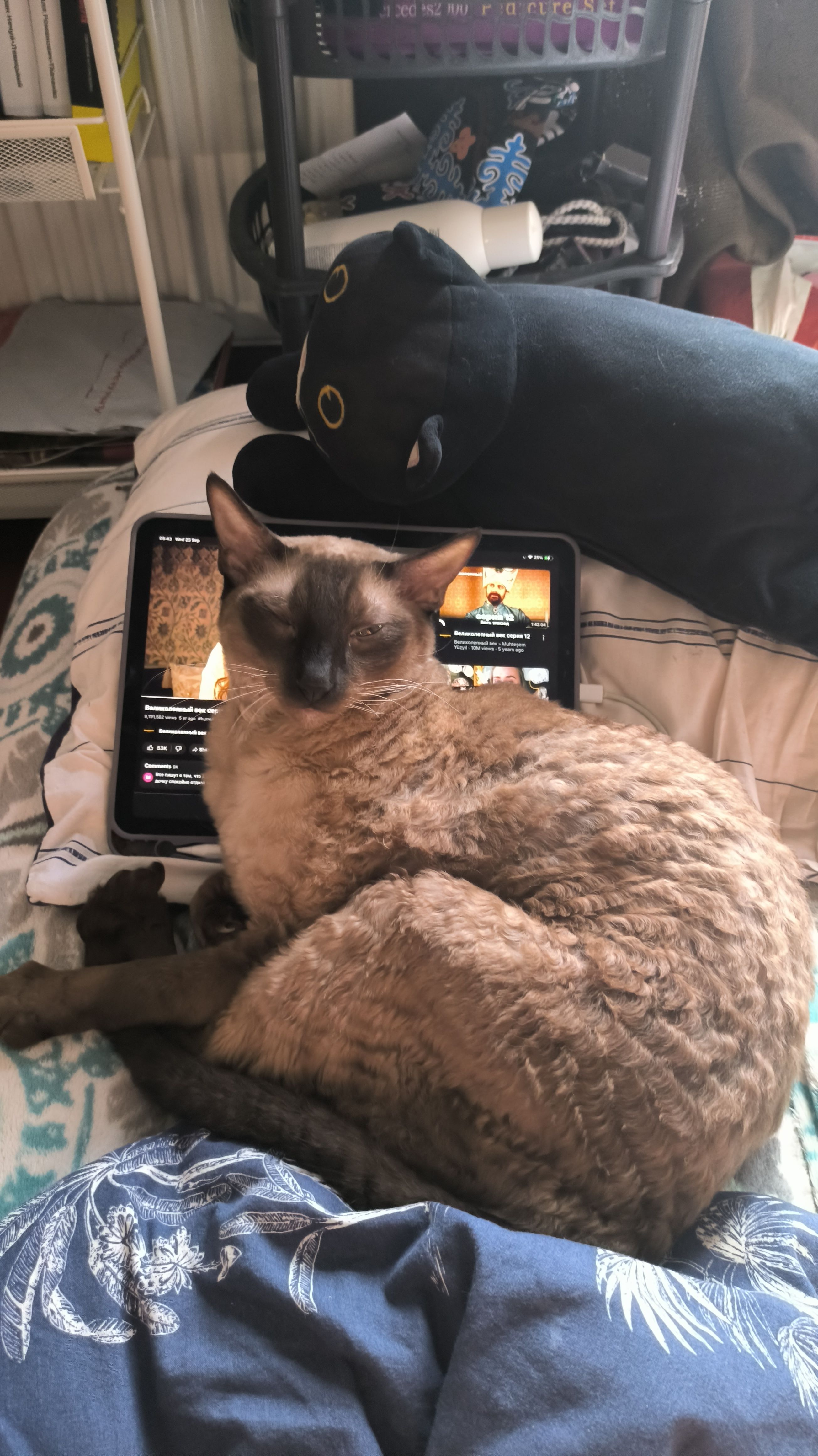 Piska - Izabella Utca, Budapest