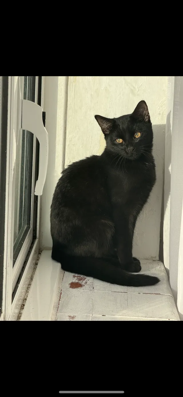 Nova - BR2 8, Bromley