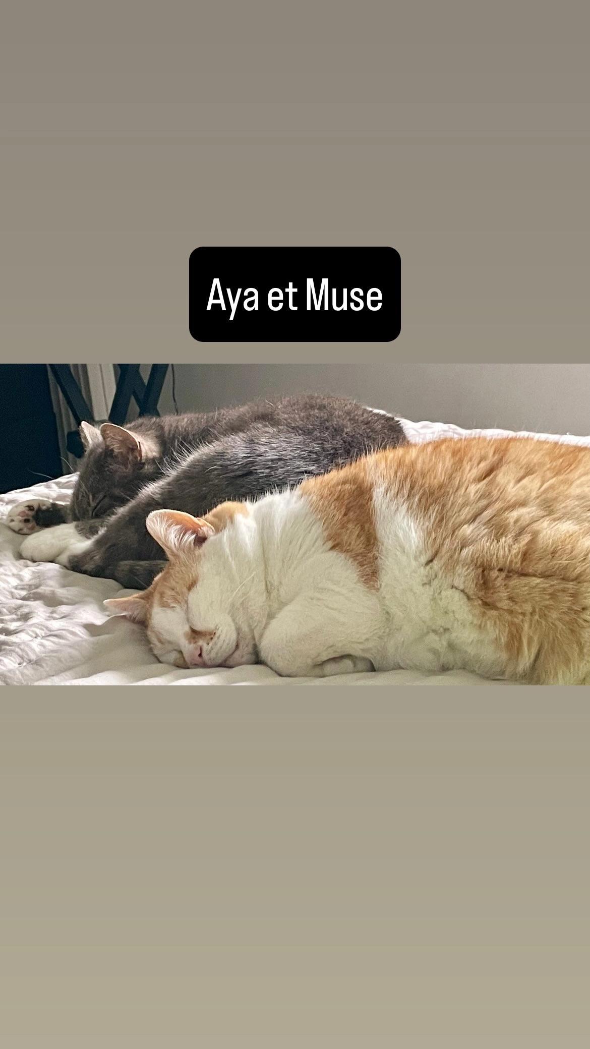 Haya - 18 Hameau des Ramures, Beaurains