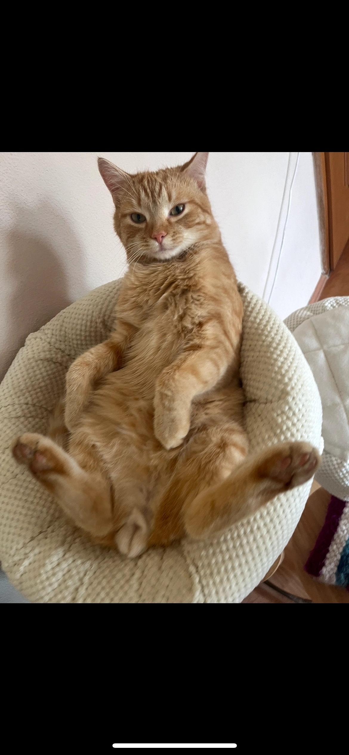 Herbert - Autalerstraße, Laßnitzhöhe