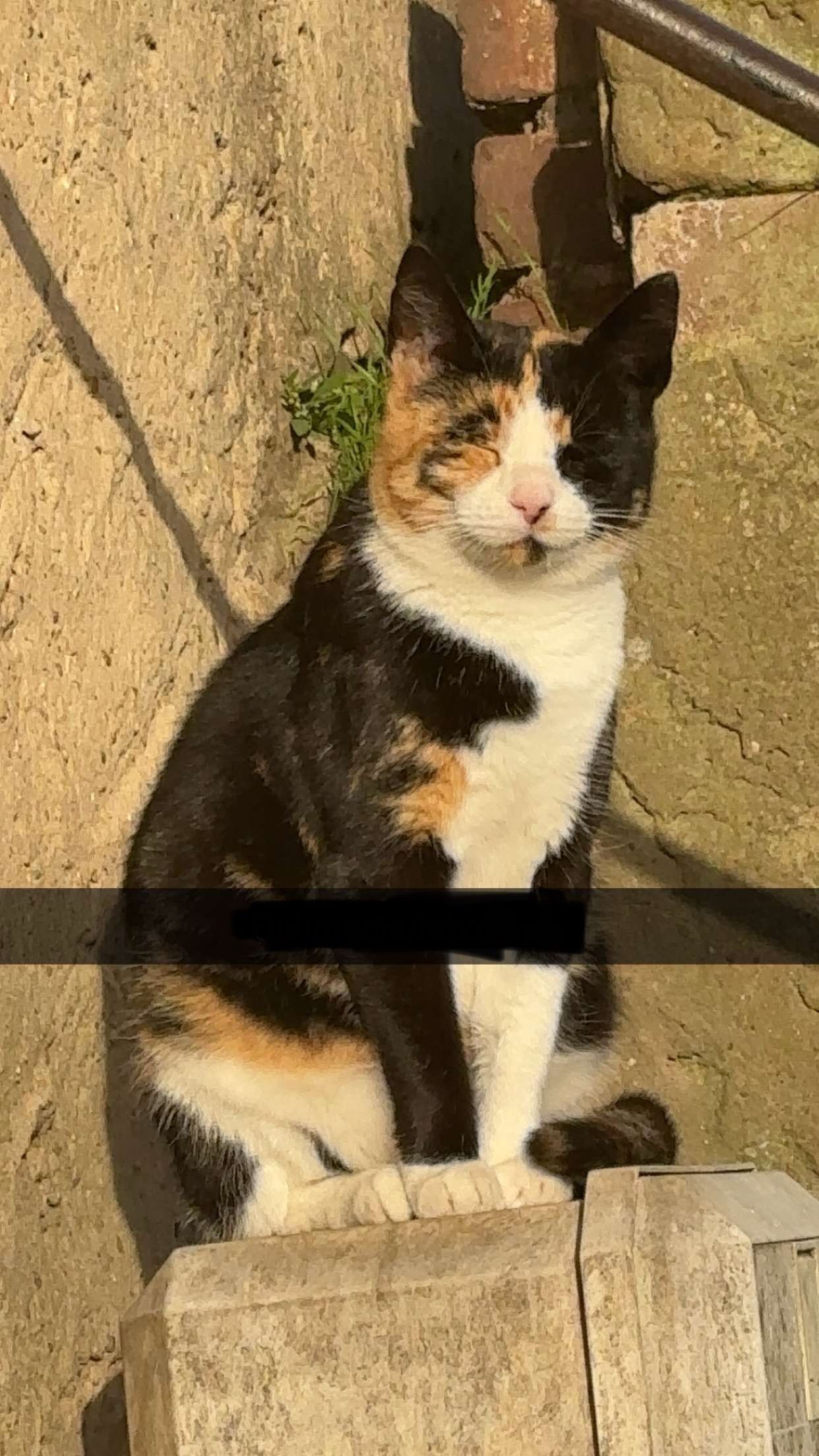 Laila - Ringstraße 21, Halenbeck-Rohlsdorf