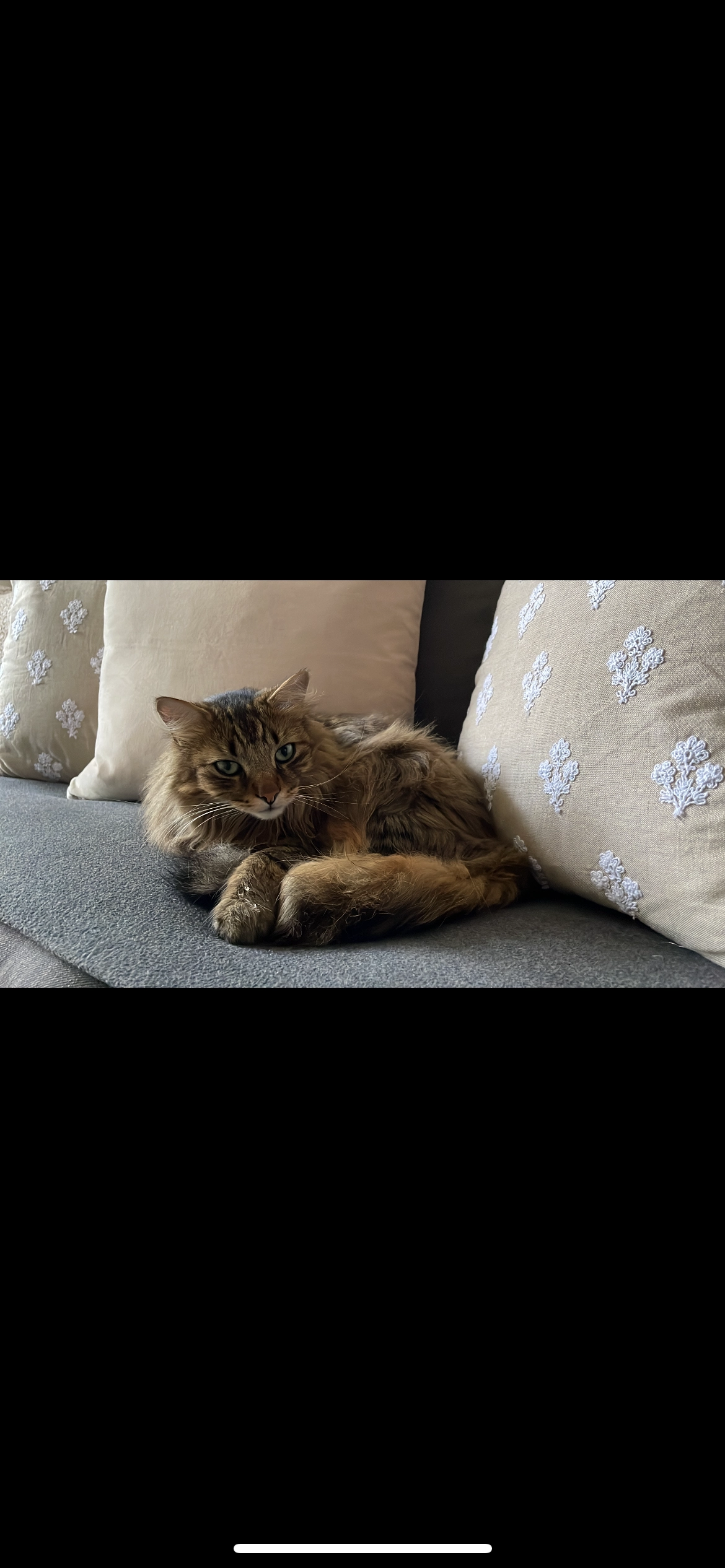 Milo - Roseggerstraße, Wolfsburg