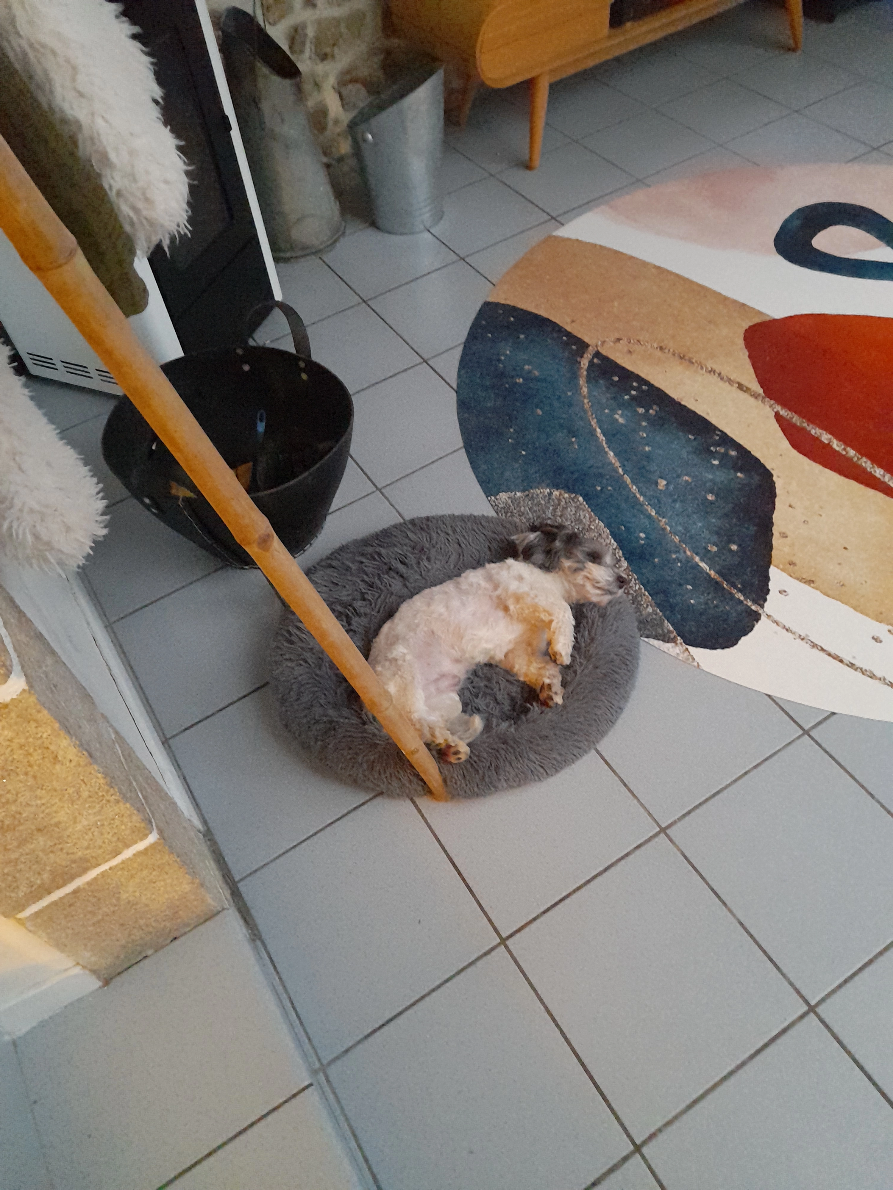 Halfred - 16 Allée de Tréqueffélec, Quimper