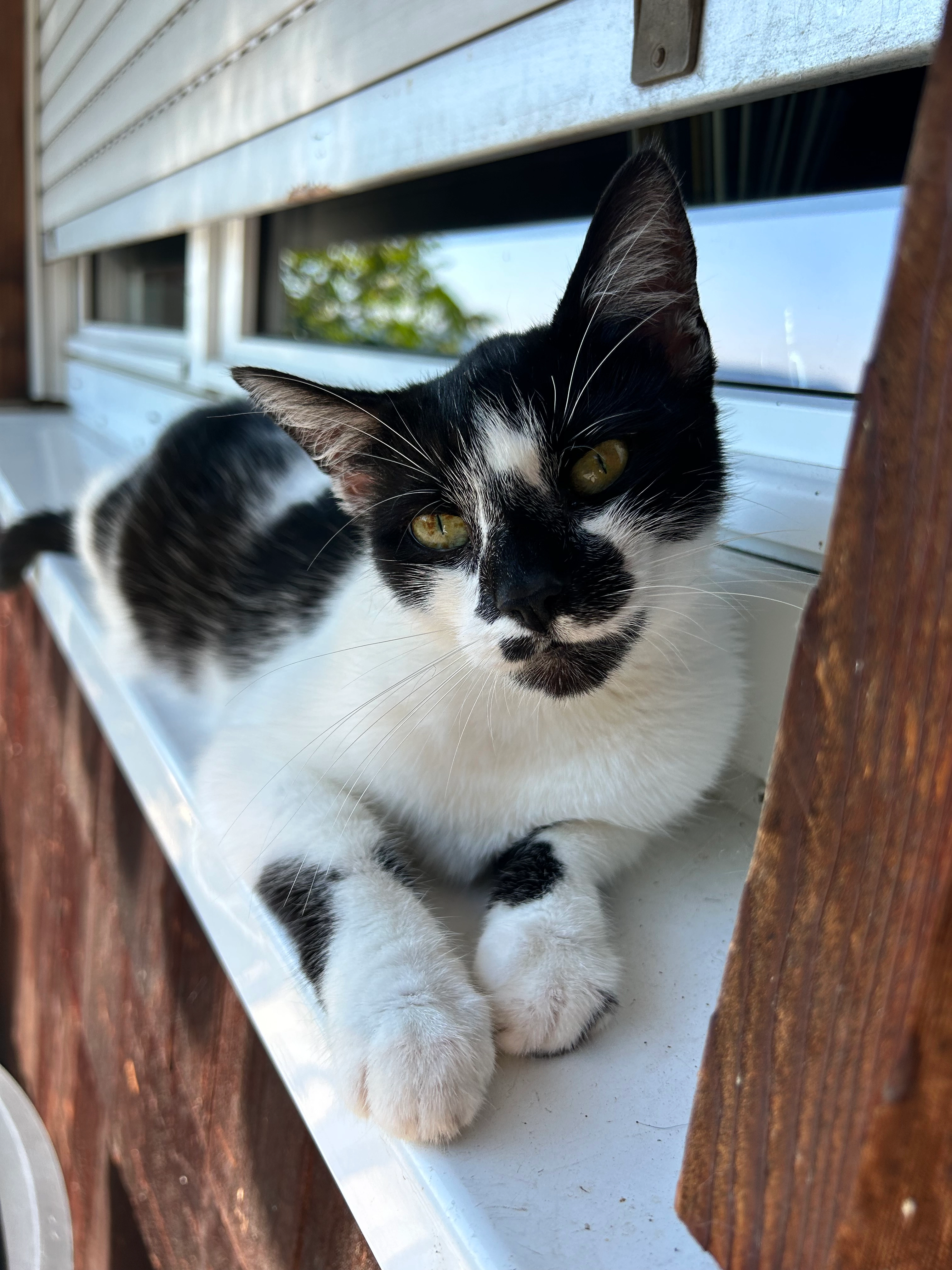 Minnie - Sportplatzstraße, Elztal