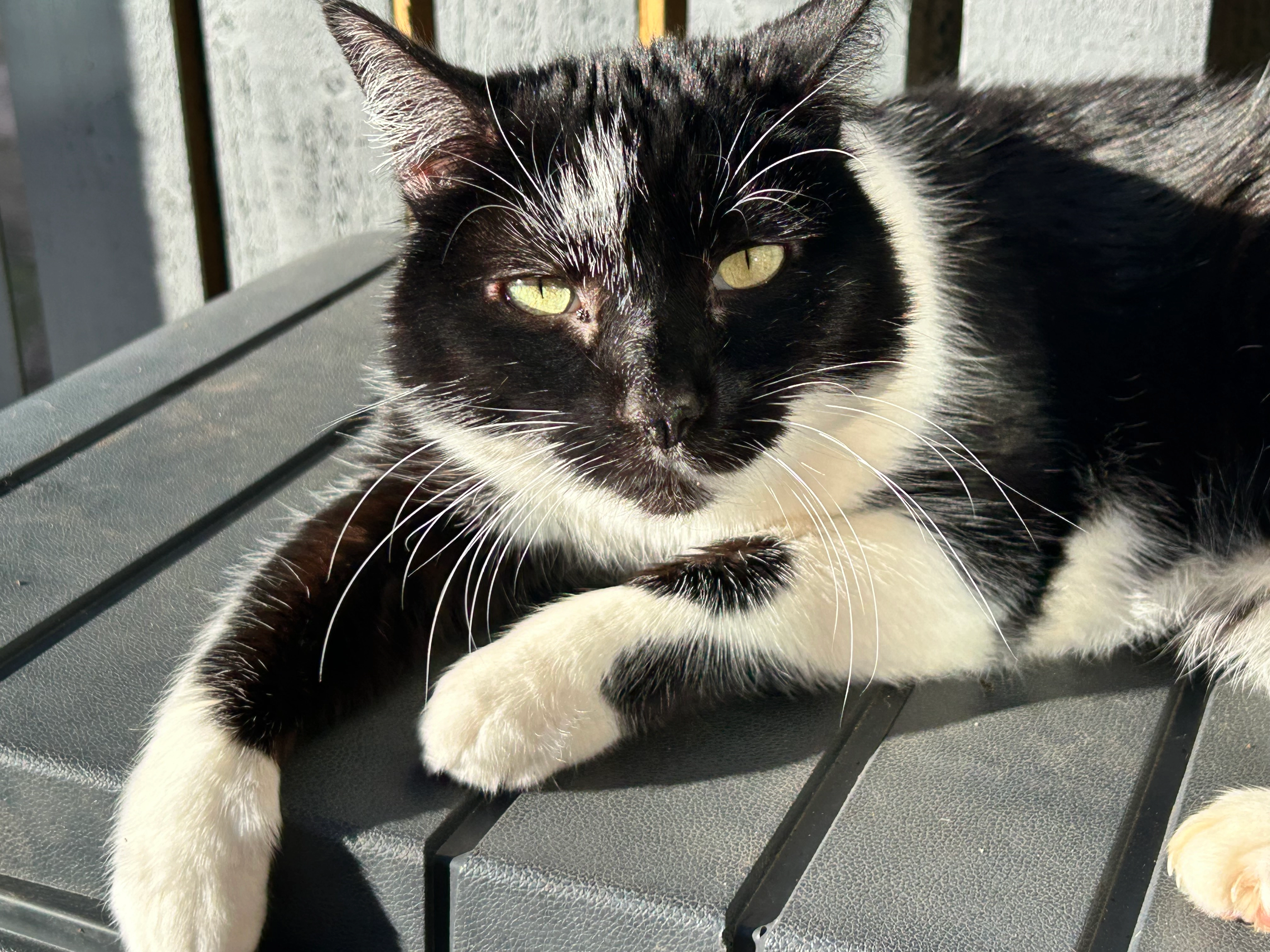 Gary - 9 Rye Croft, Colne