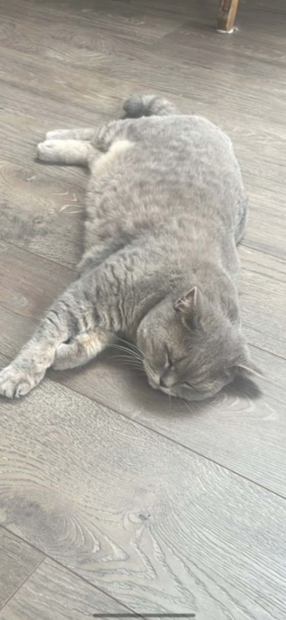 Koby - Orpen Green, Stillorgan