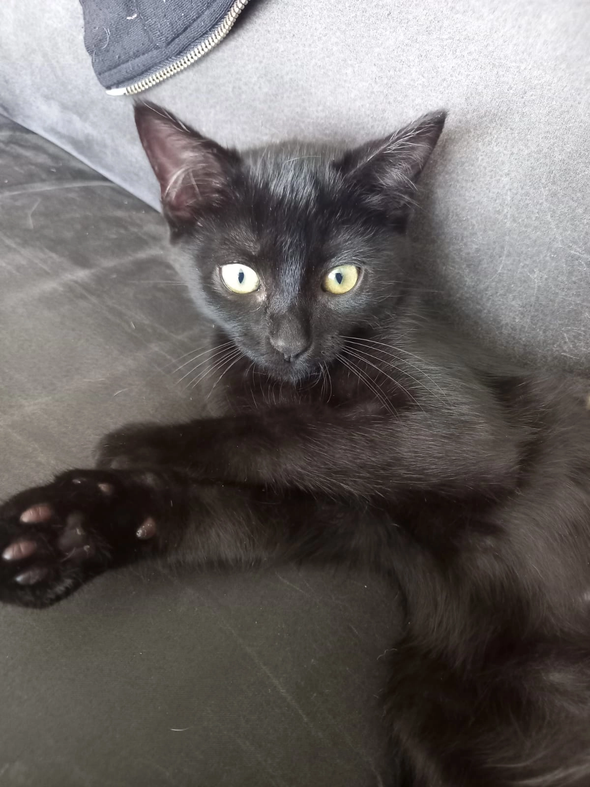 Ades - Chemin De Constantin, Mouguerre