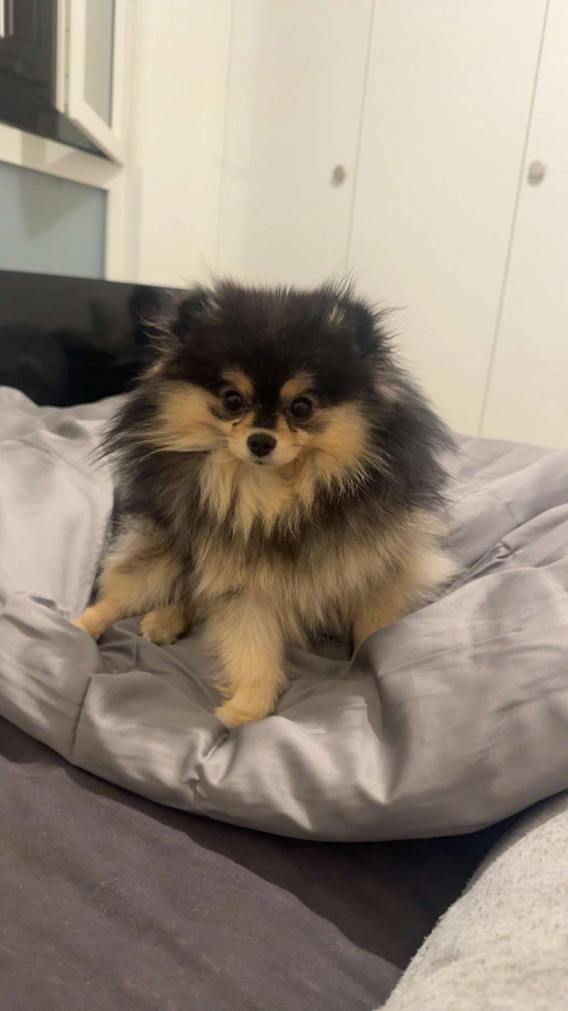 Ivy - 35 Rue de Stalingrad, Cannes