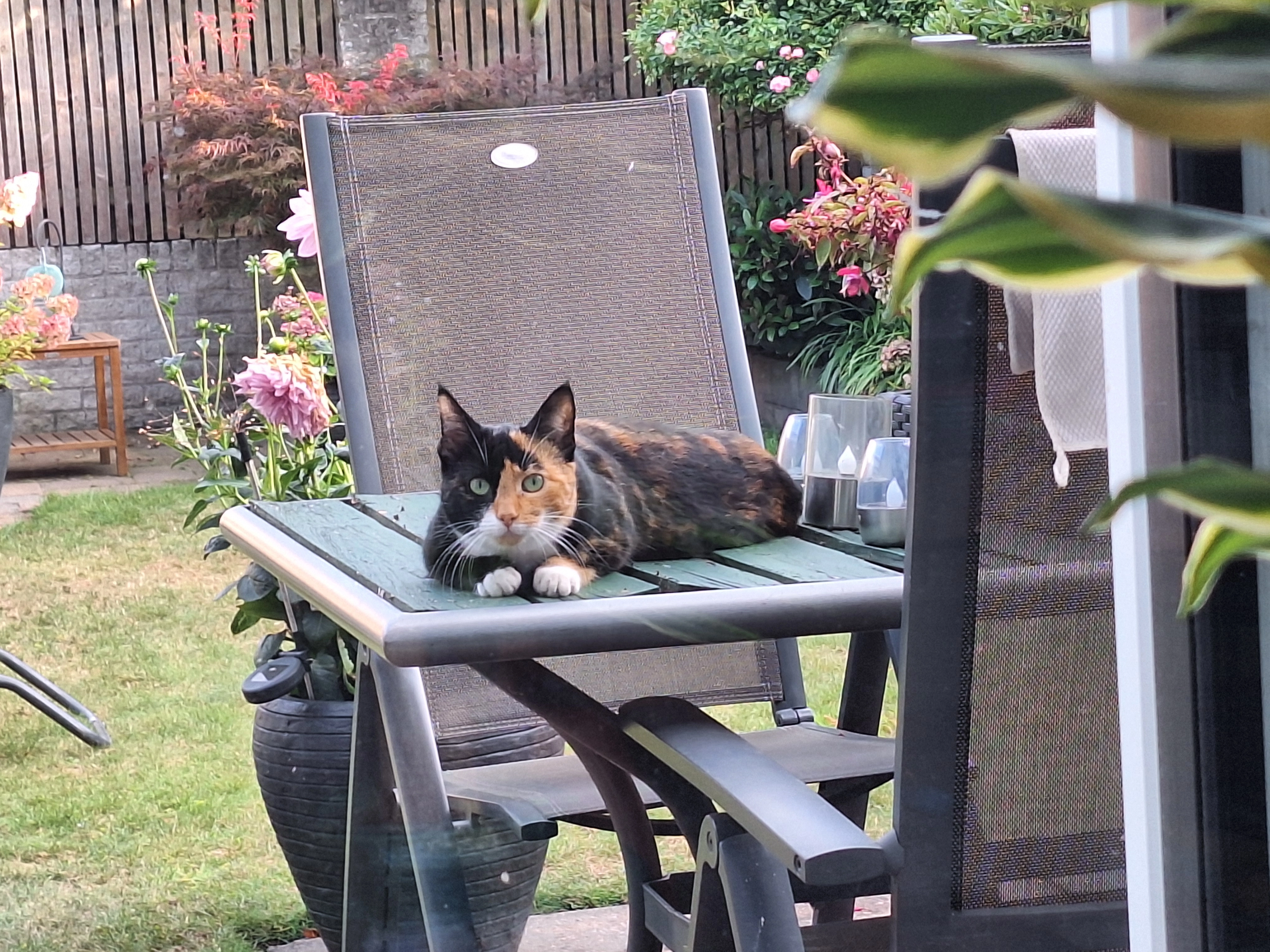 Bibi - Langvennen-Noord, Oisterwijk