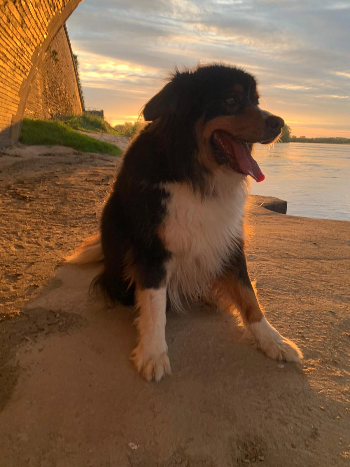 JAZZ - 18 Chemin du Bois d'Avault, Les Ponts-de-Cé