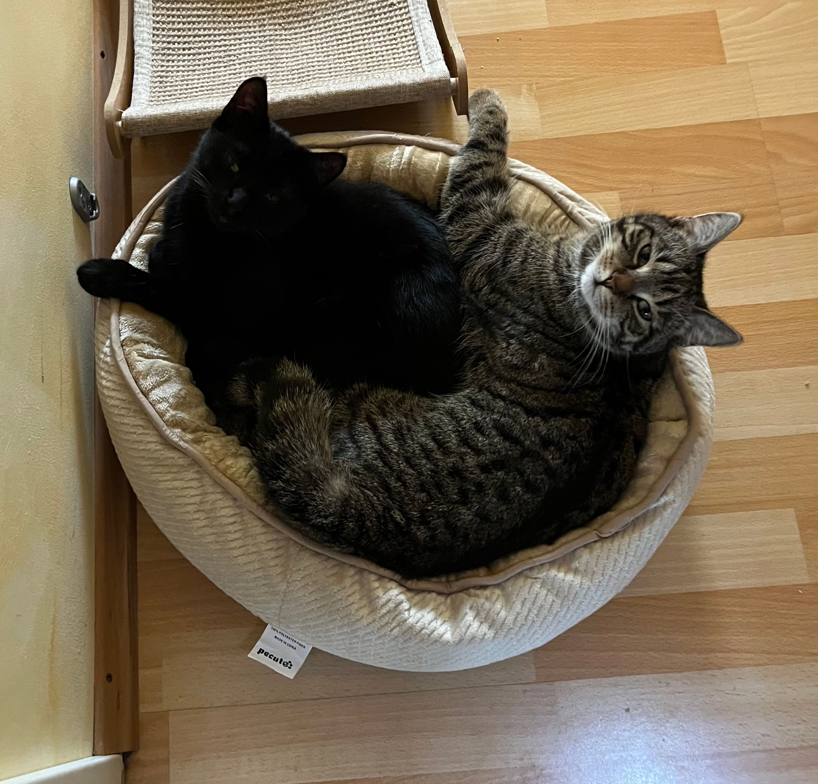 Nora und Nelli - 14548, Schwielowsee