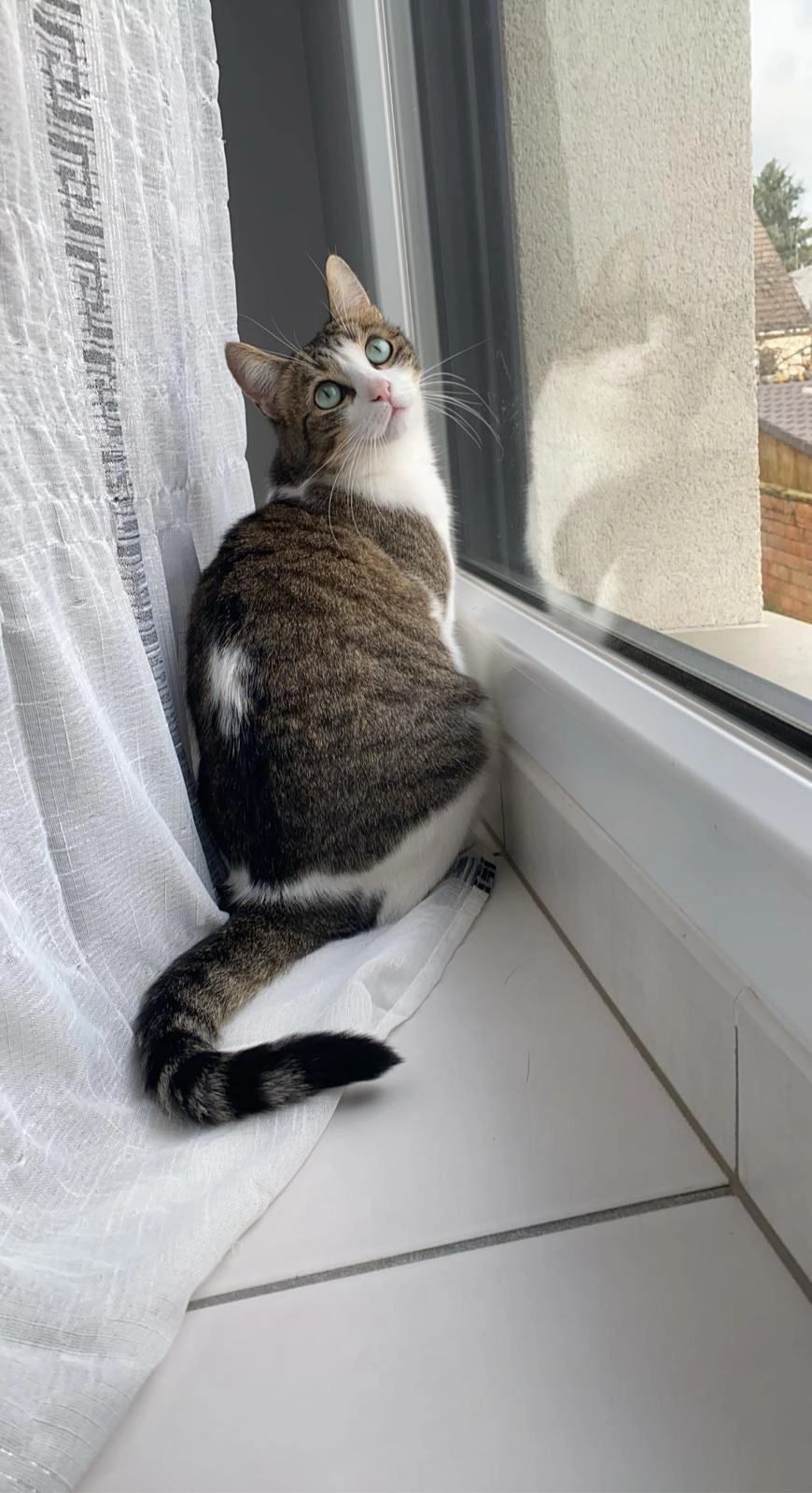 Nahla - 25 Rue des Closeaux, Voisenon