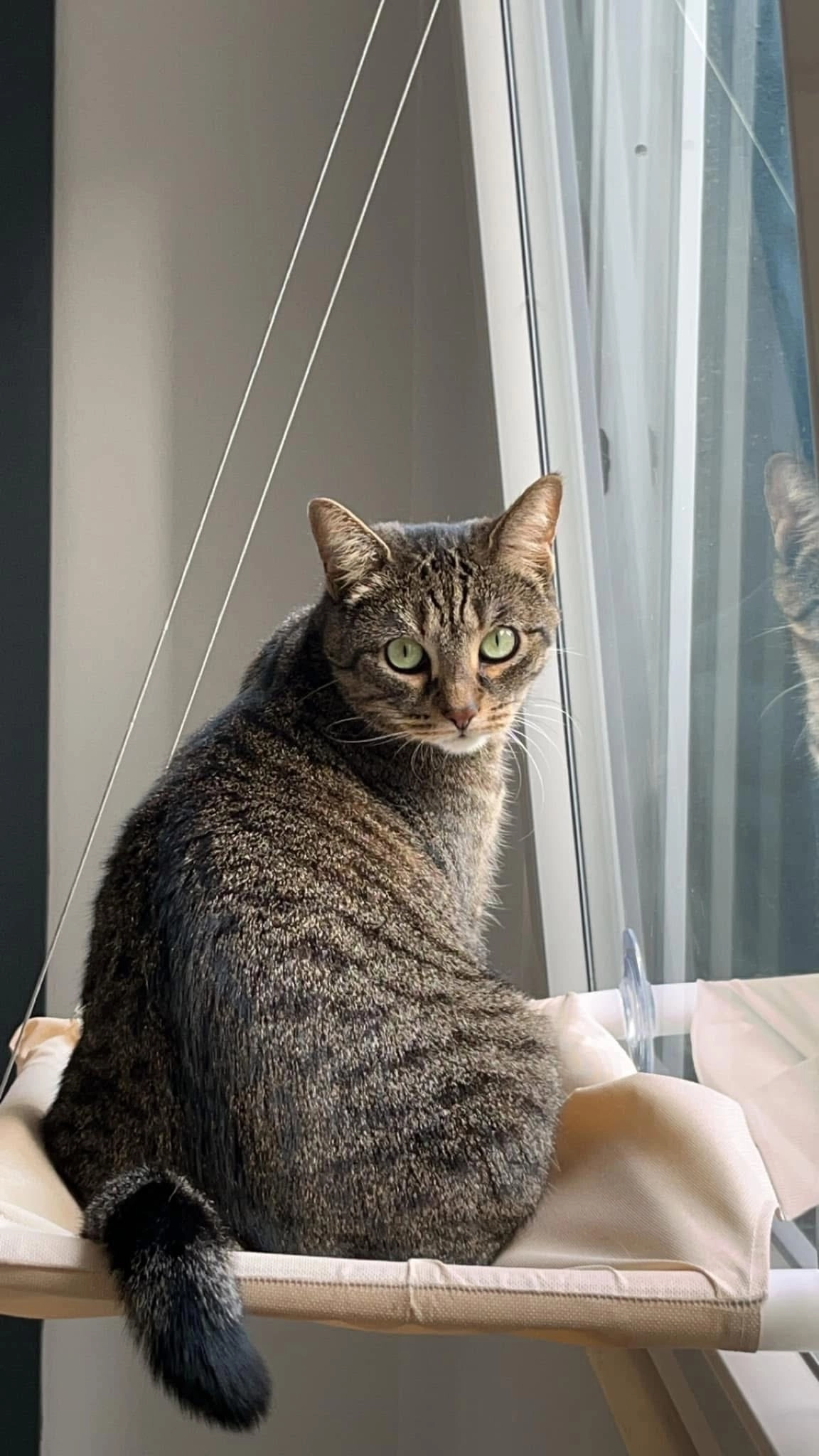 Mia - Rue Laurent Pâques, Saint-Nicolas