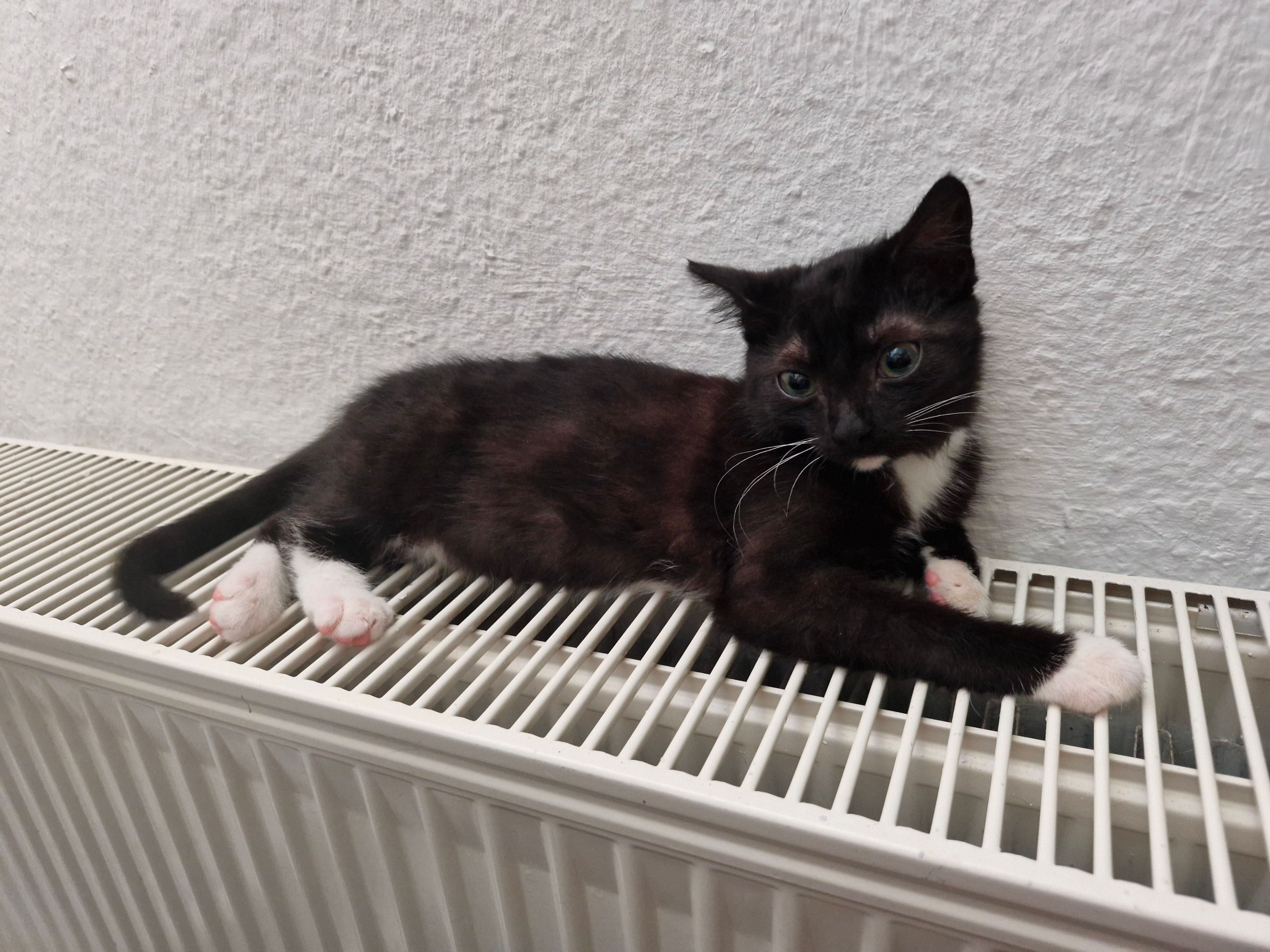 Filo - Itagstraße, Celle