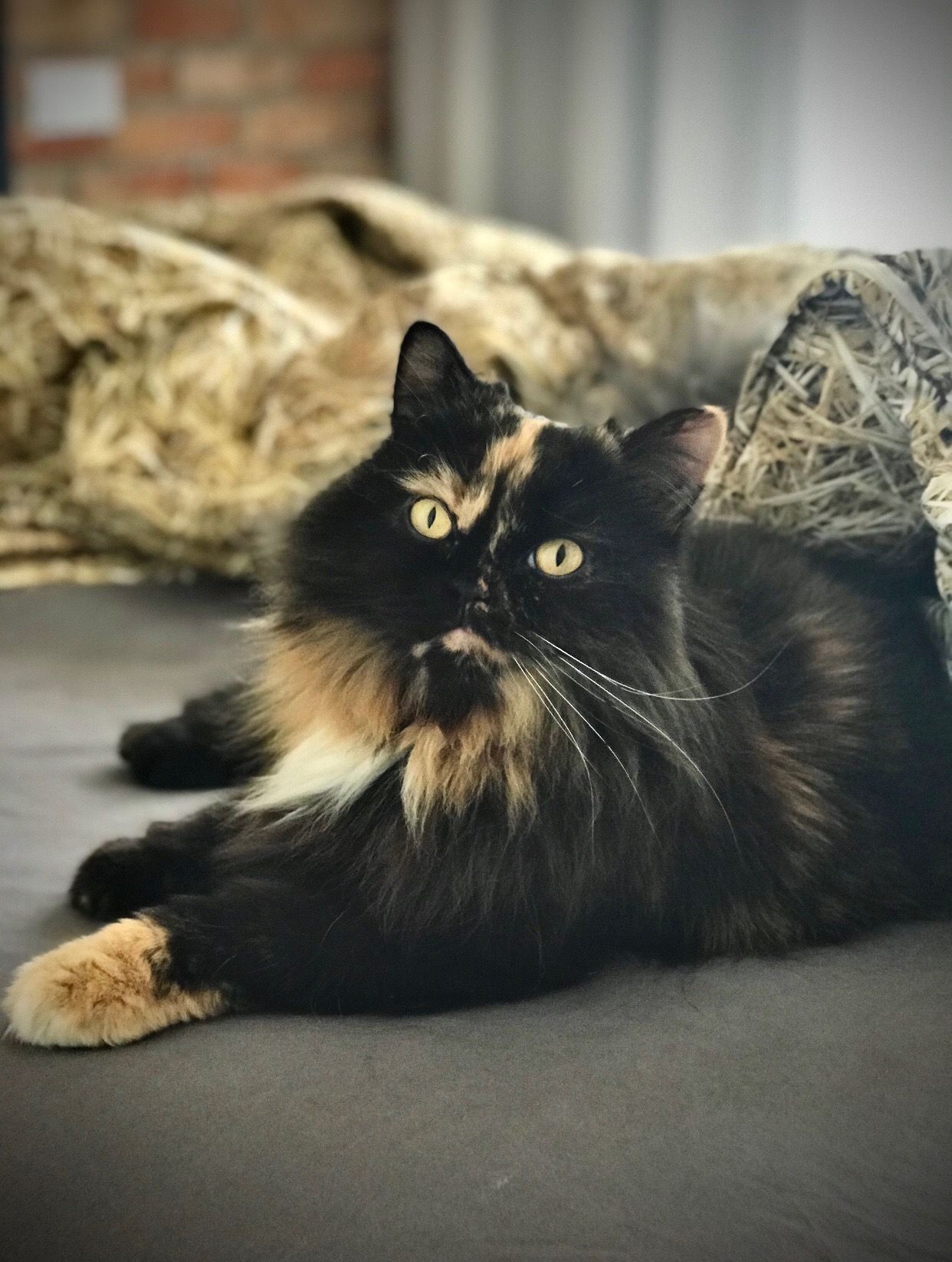 Hera - Dzikiej Róży, Poznań