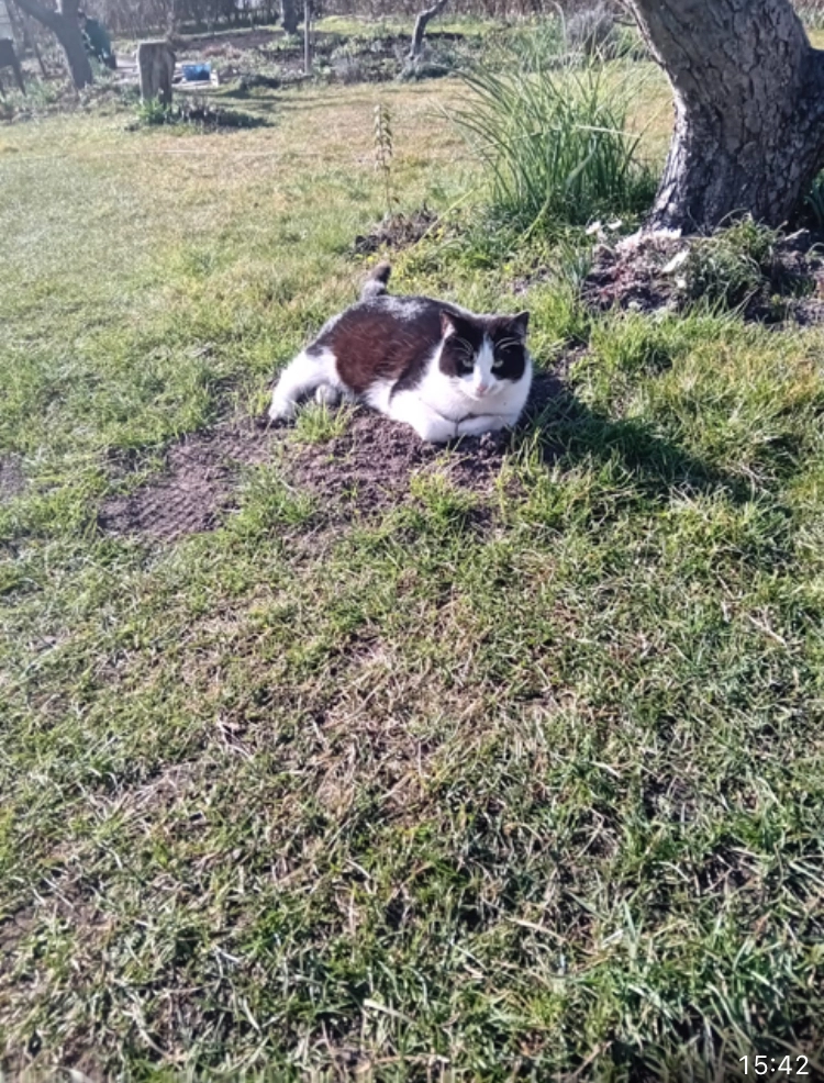 Mia - Wellengang, Wismar