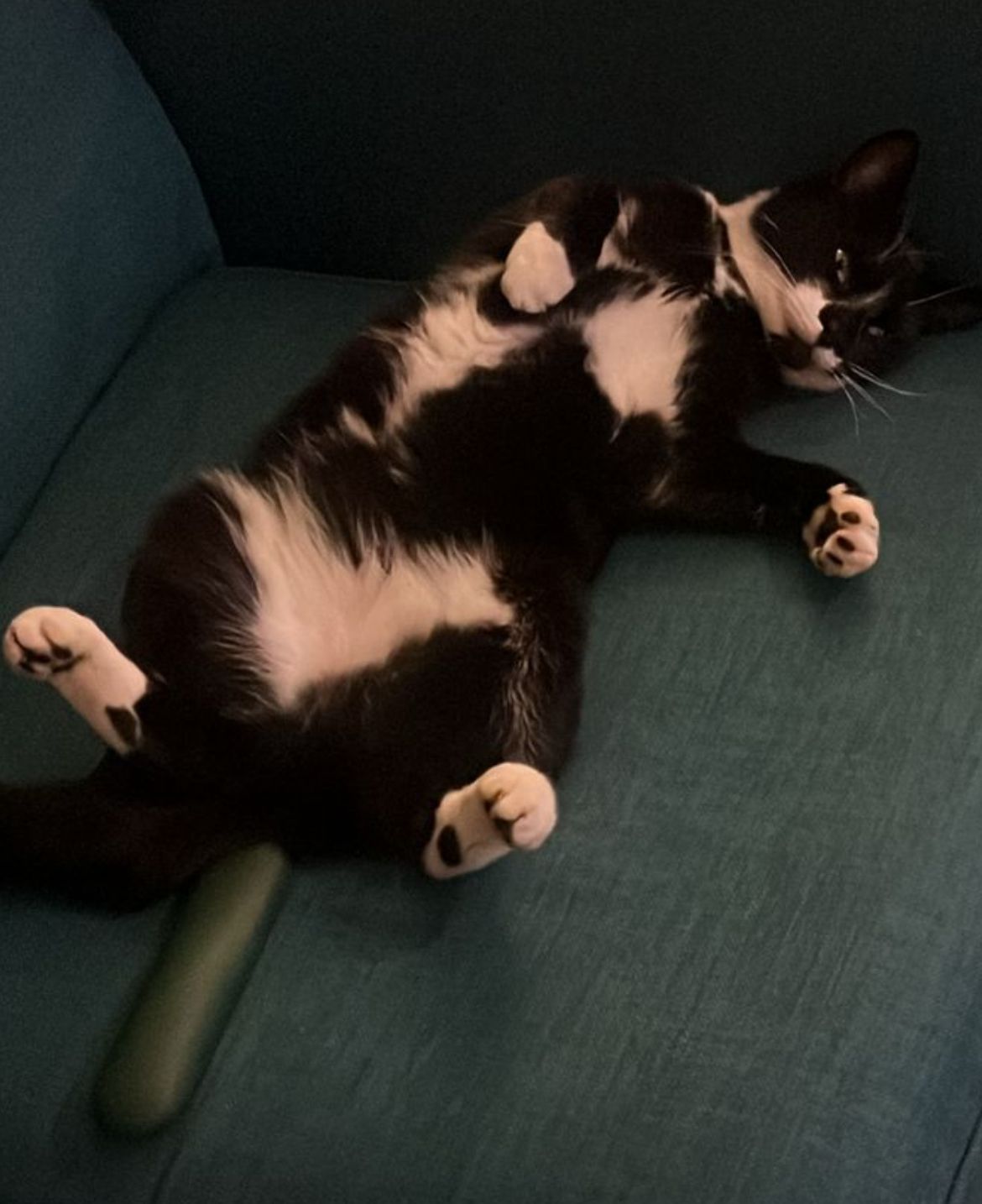 Winston - Milltown Avenue, Lisburn