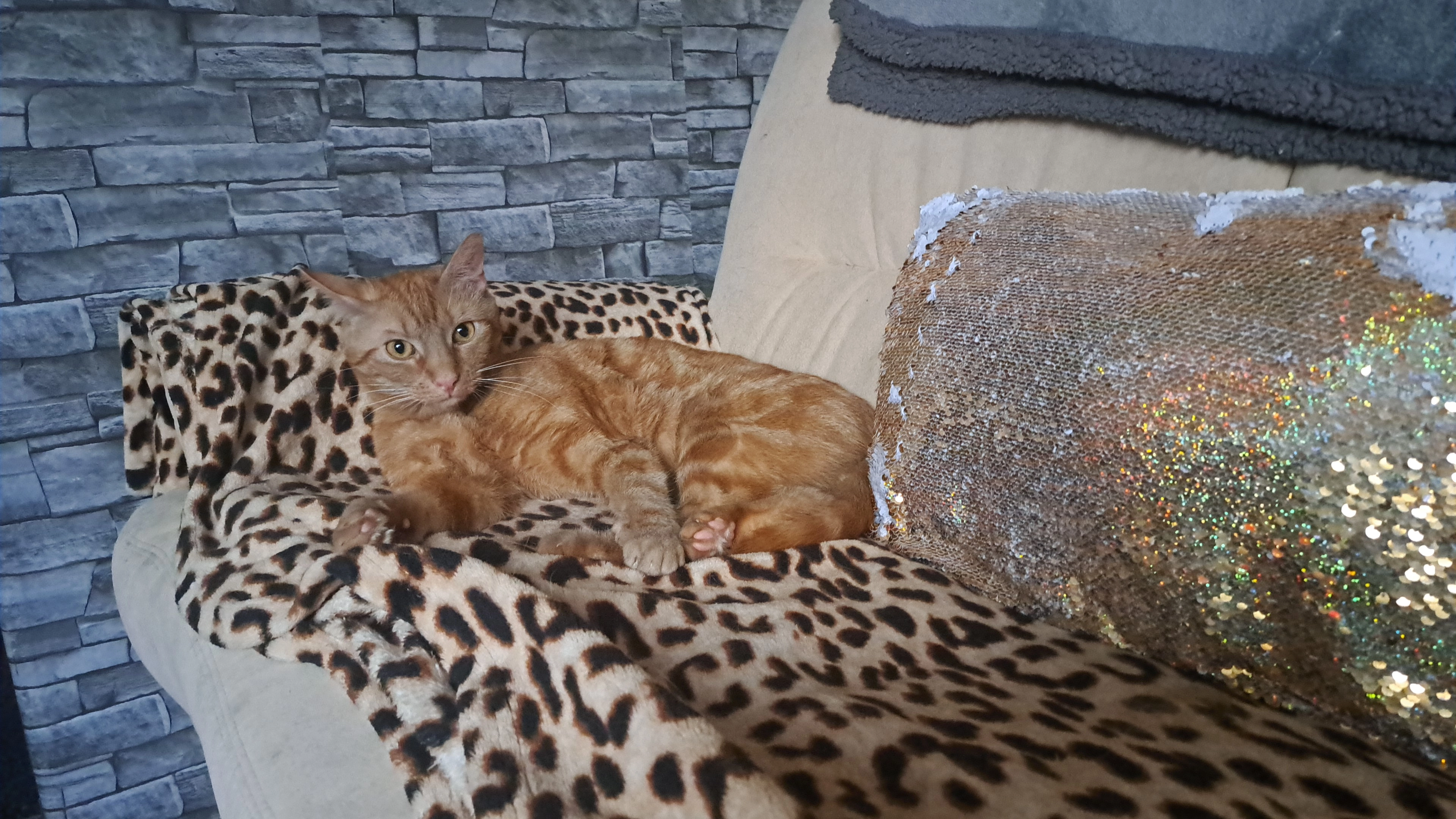 Simba - Zum Rottberg, Paderborn