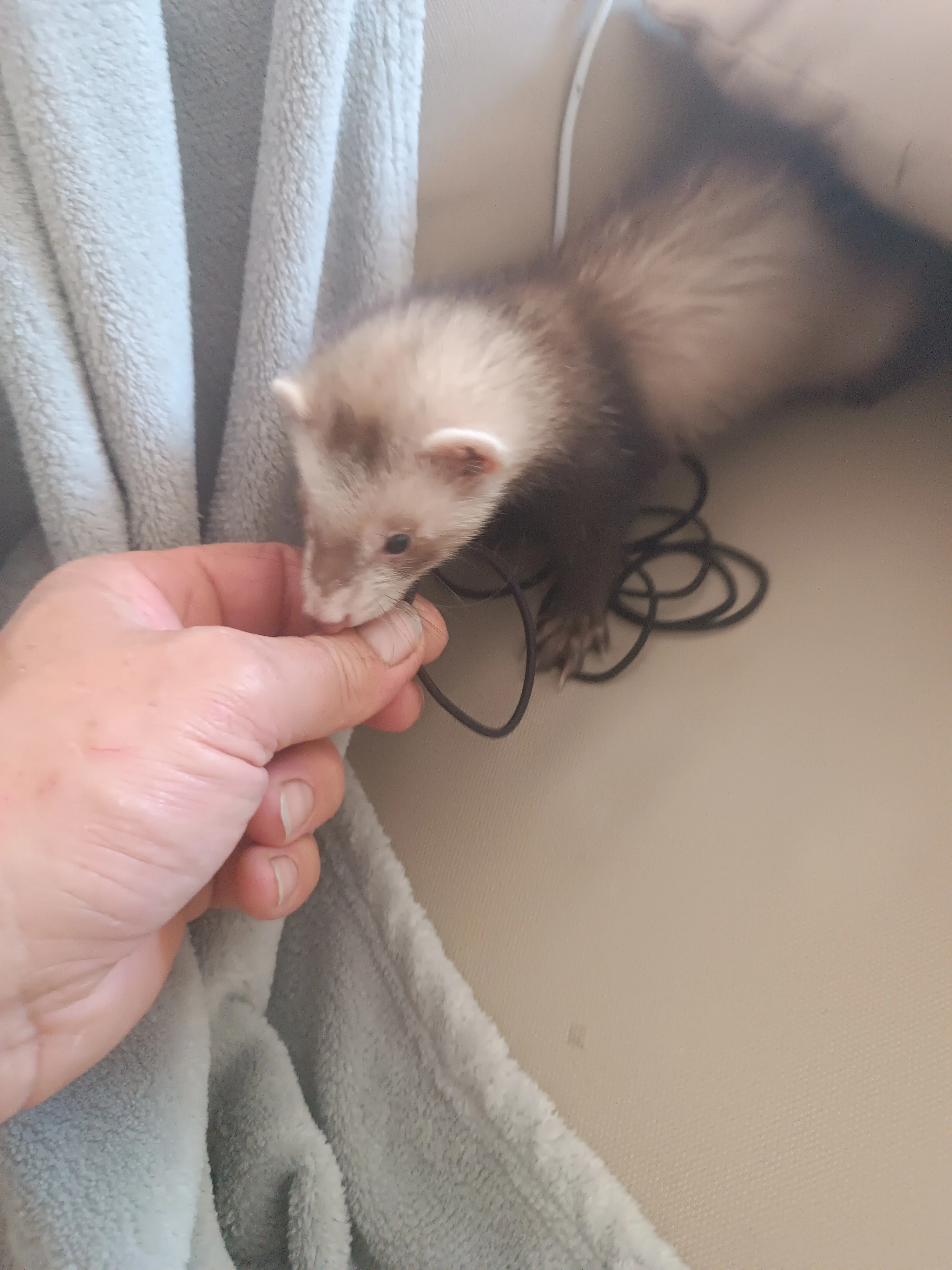 Lilou - Rue Anne Frank, Lorette