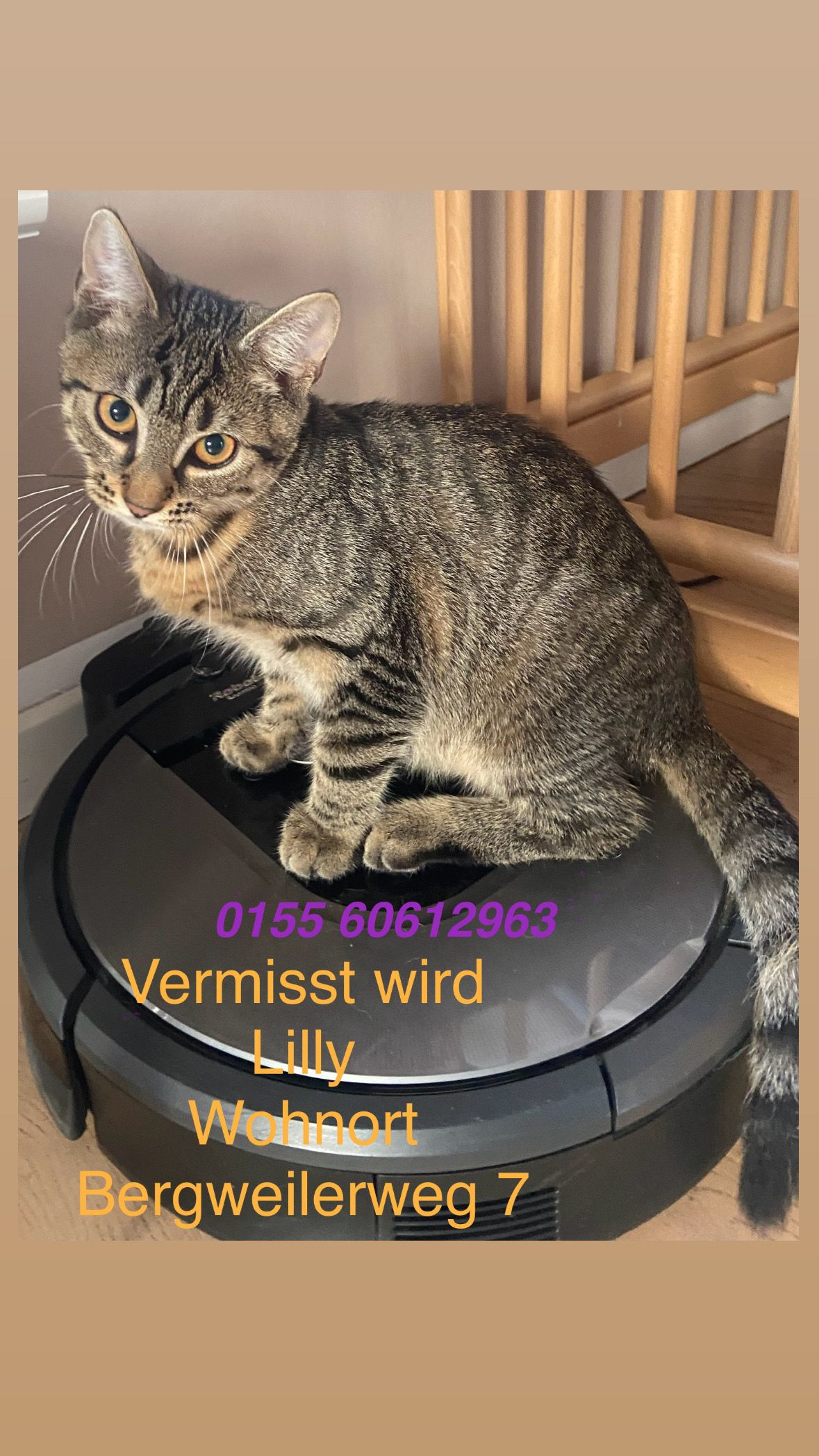 Lilly - Bergweilerweg, Wittlich