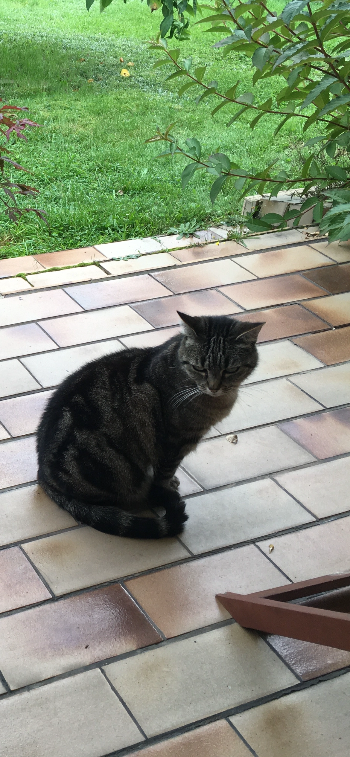 Loki - Heimstraße, Stolberg