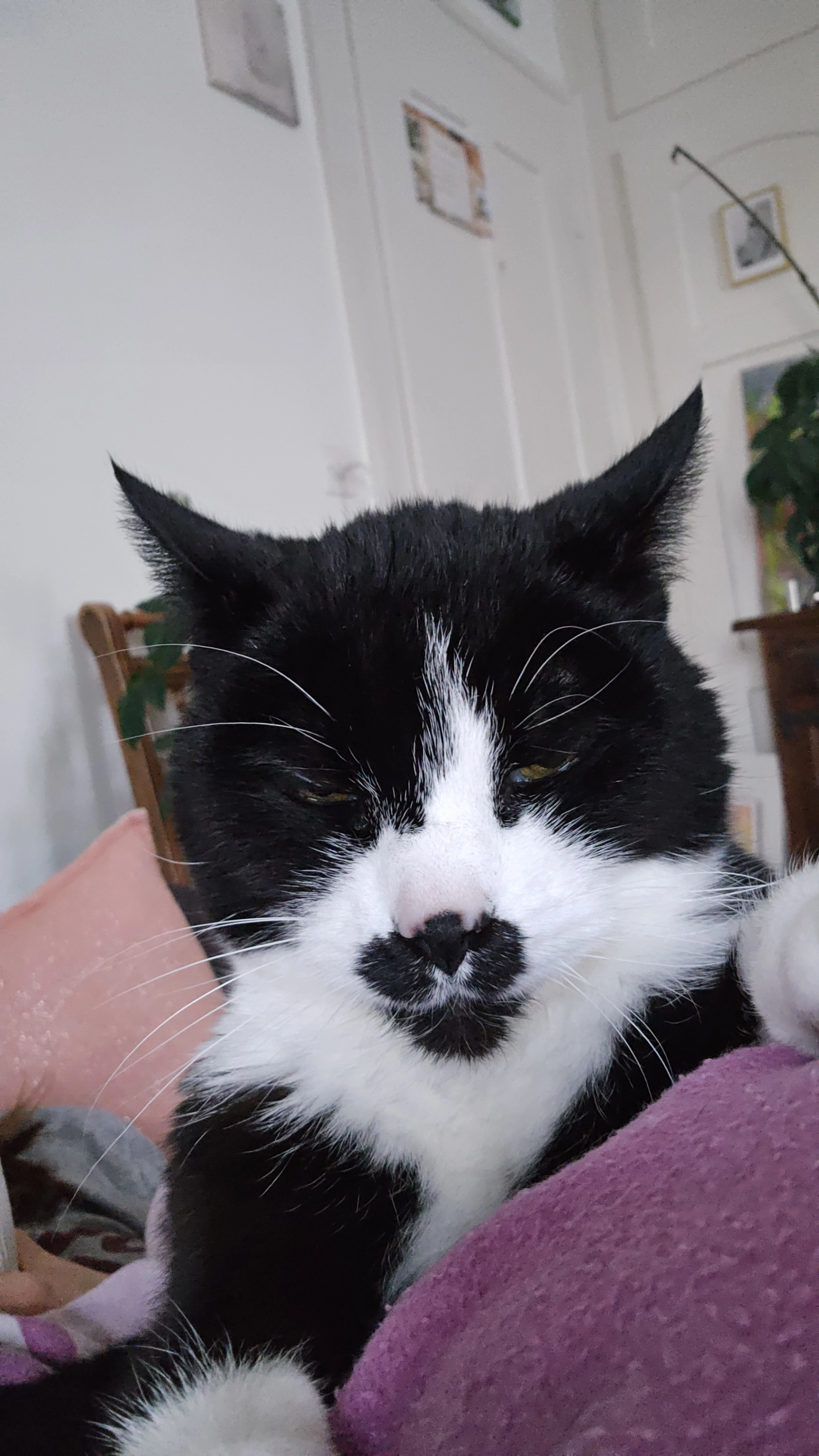 Nilson - Stapferstrasse 26, Brugg