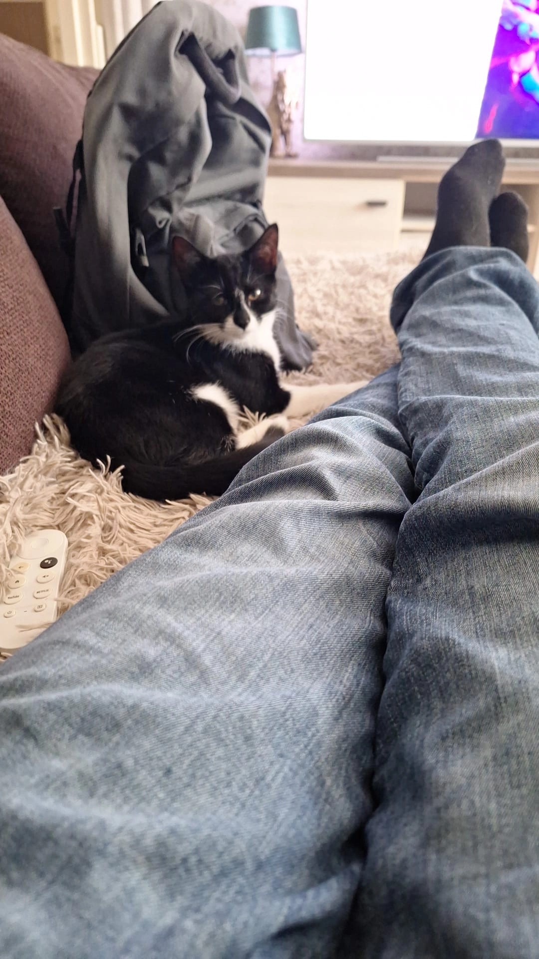 Noodle - Rivierweg, Capelle aan den IJssel