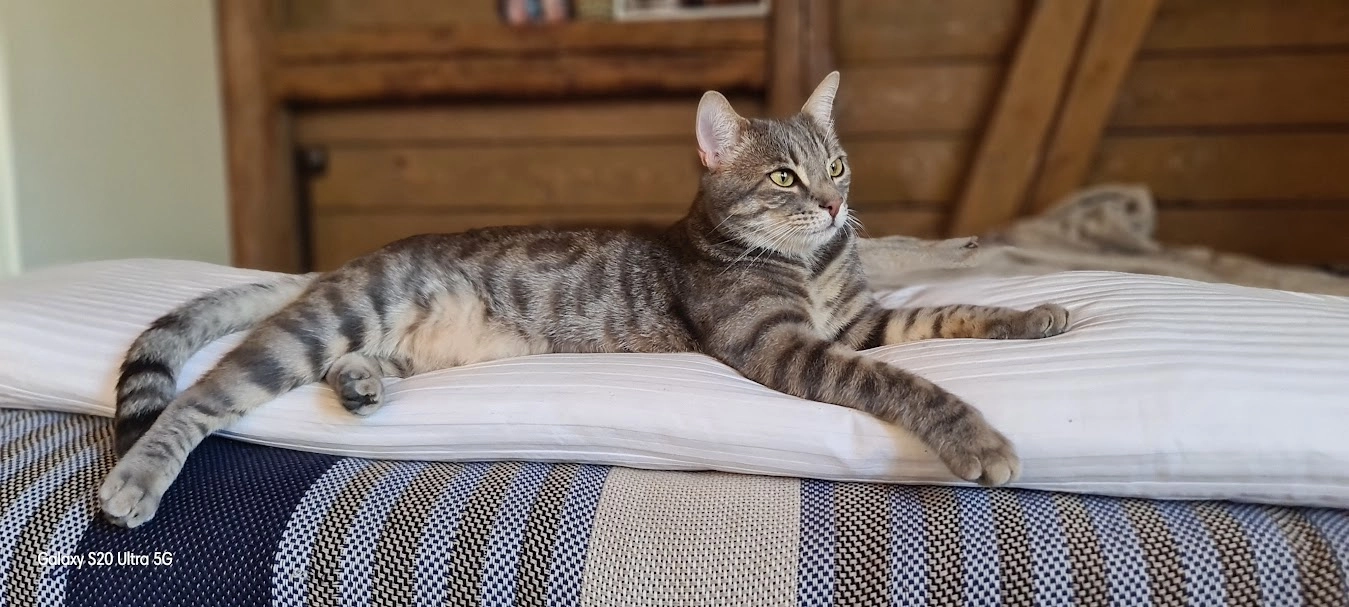 silver - 5313, Klingnau