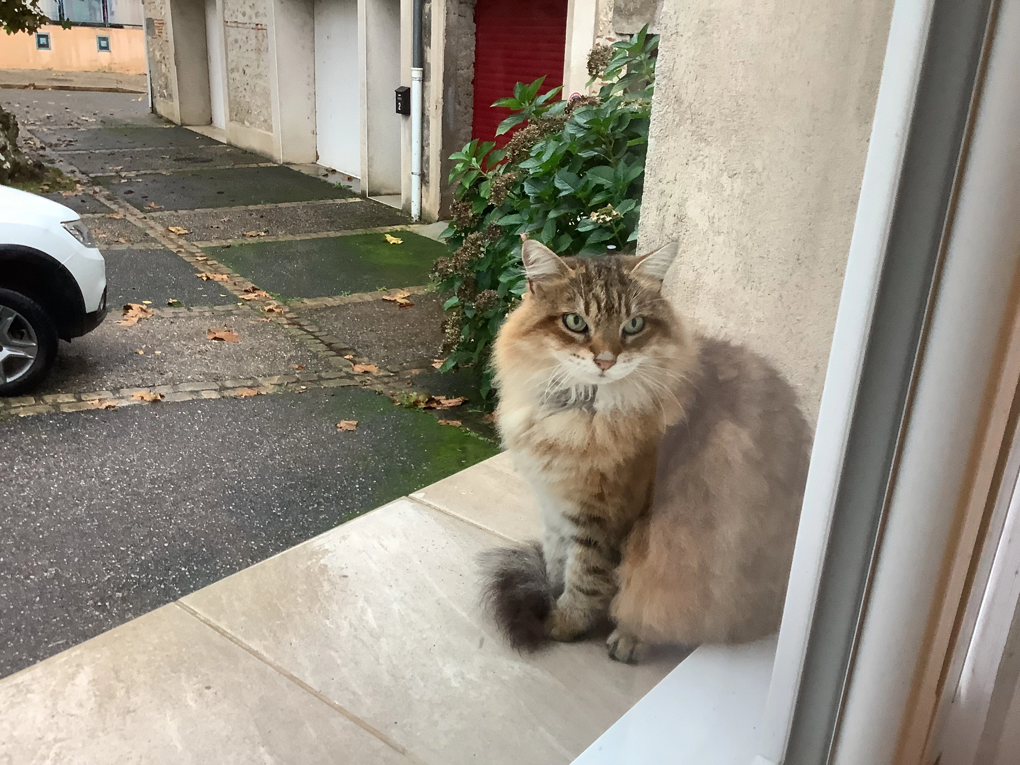 Léa - Place du Fort, Castelmoron-sur-Lot
