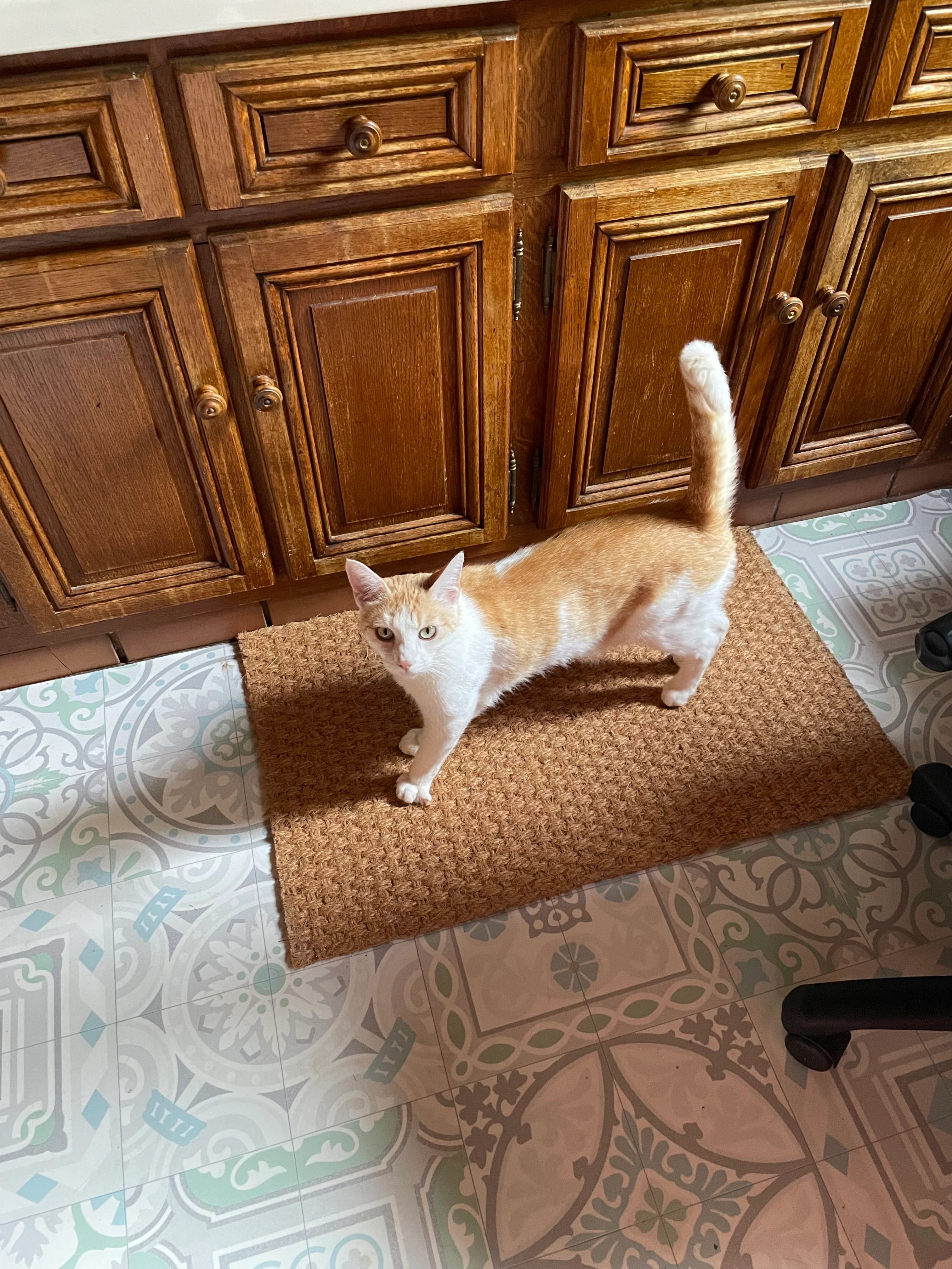 Theïla  - 36 Route de Beaulieu, Belleville-sur-Loire