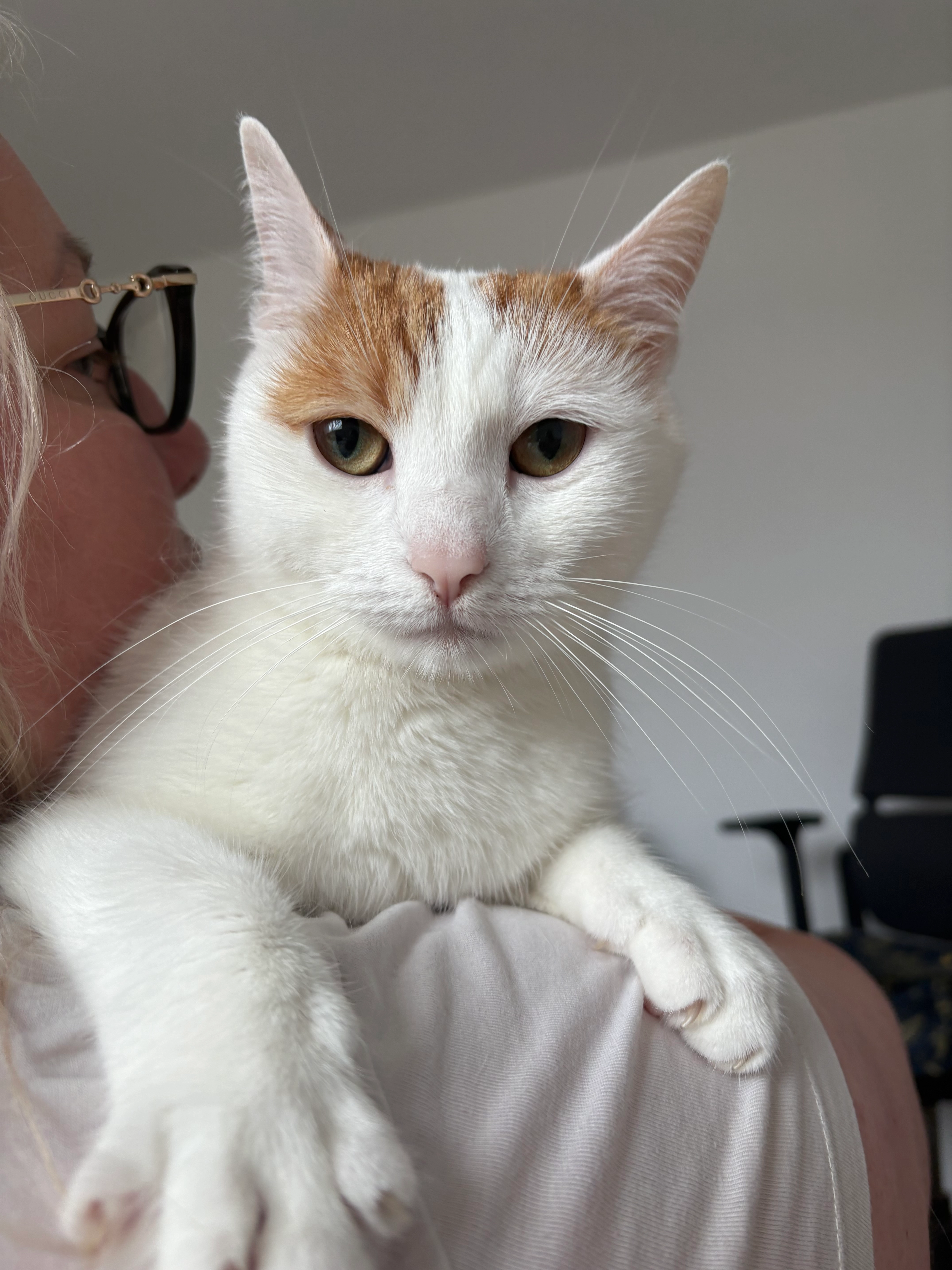 Coco - Haackzeile, Berlin