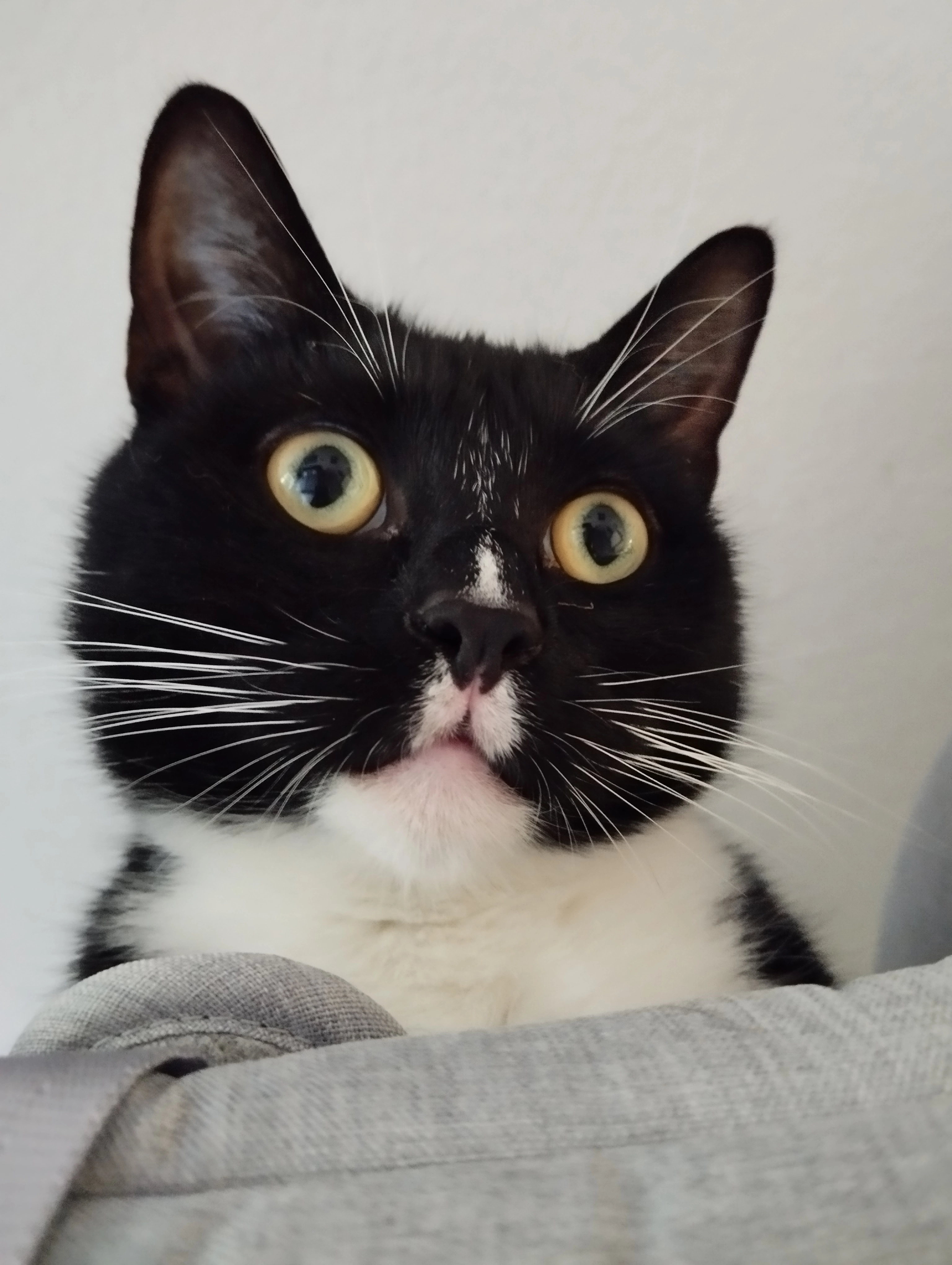 Thor - Theodor-Körner-Straße, Boizenburg