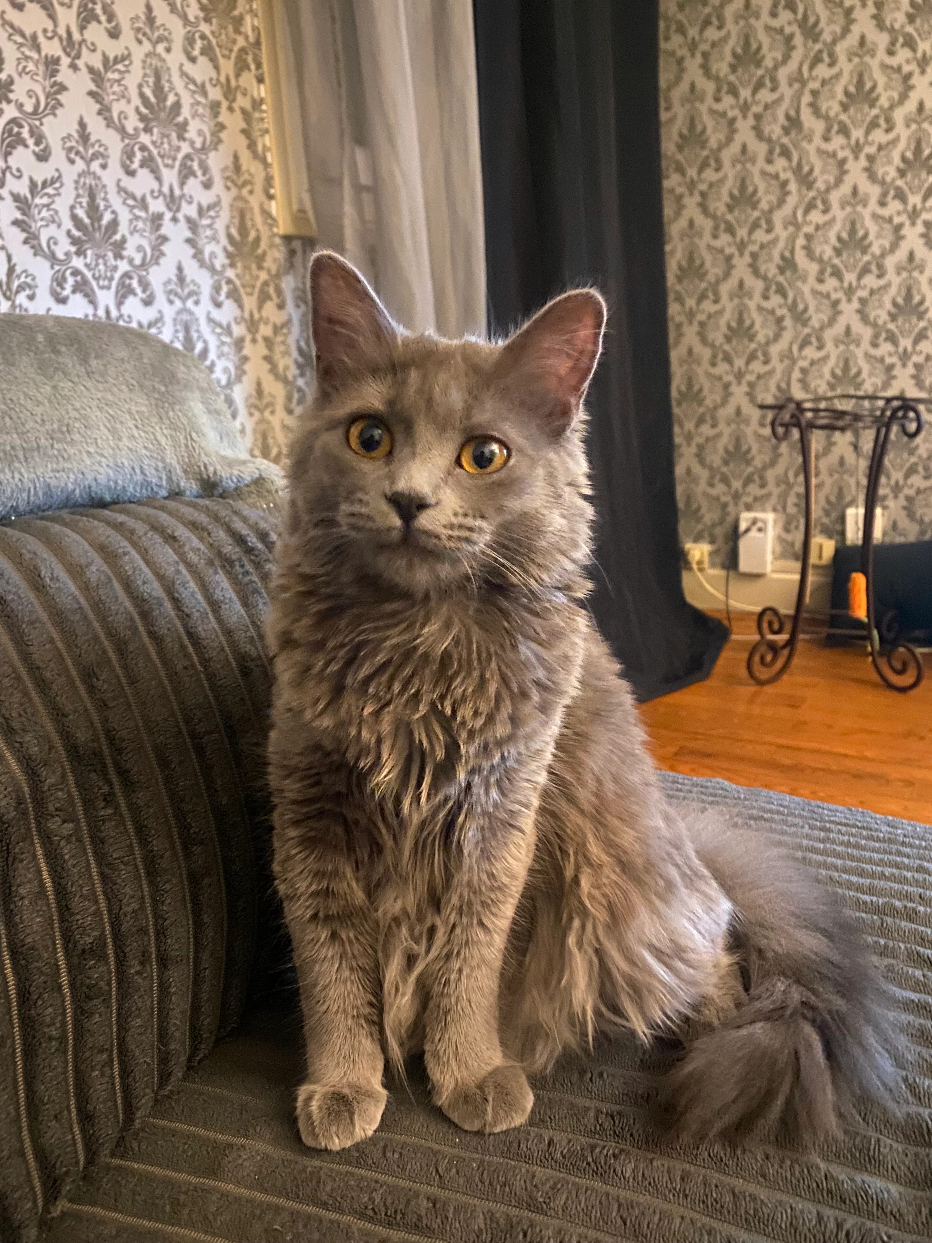 Under - 12 Avenue Jean-Marie Verne, Bourg-en-Bresse