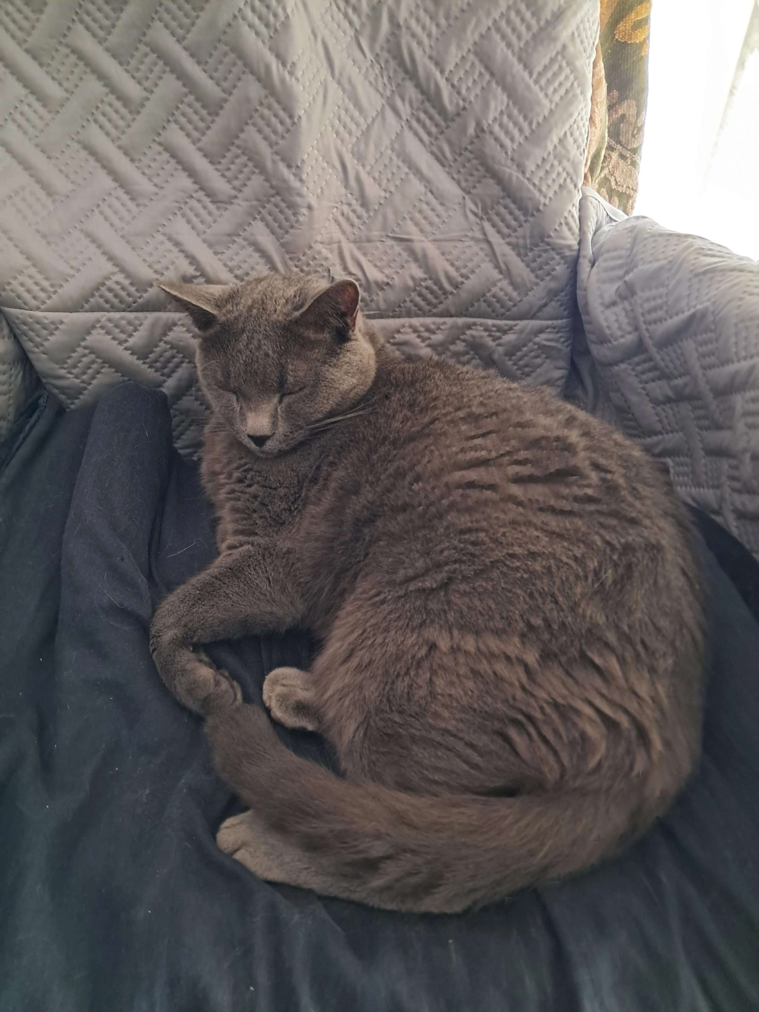 Roméo  - Vers le Manon, Septmoncel-Les Molunes