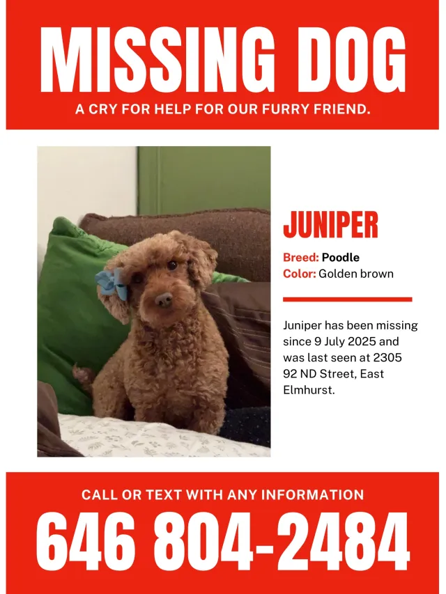 Juniper/juni - 2305 92nd St, East Elmhurst