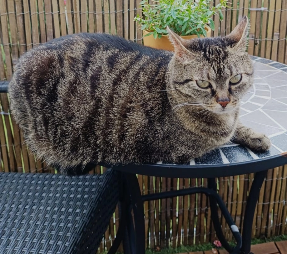 Luna - Ulmenweg, Rösrath